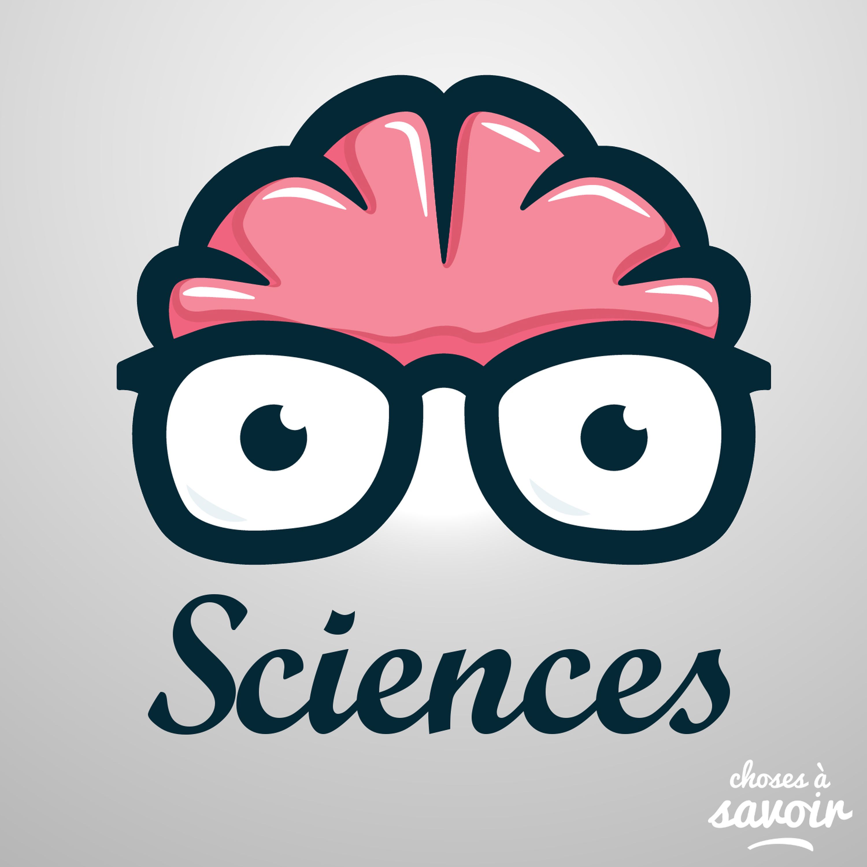 En quoi le cerveau des croyants est différent ? En quoi le cerveau des croyants est différent ?