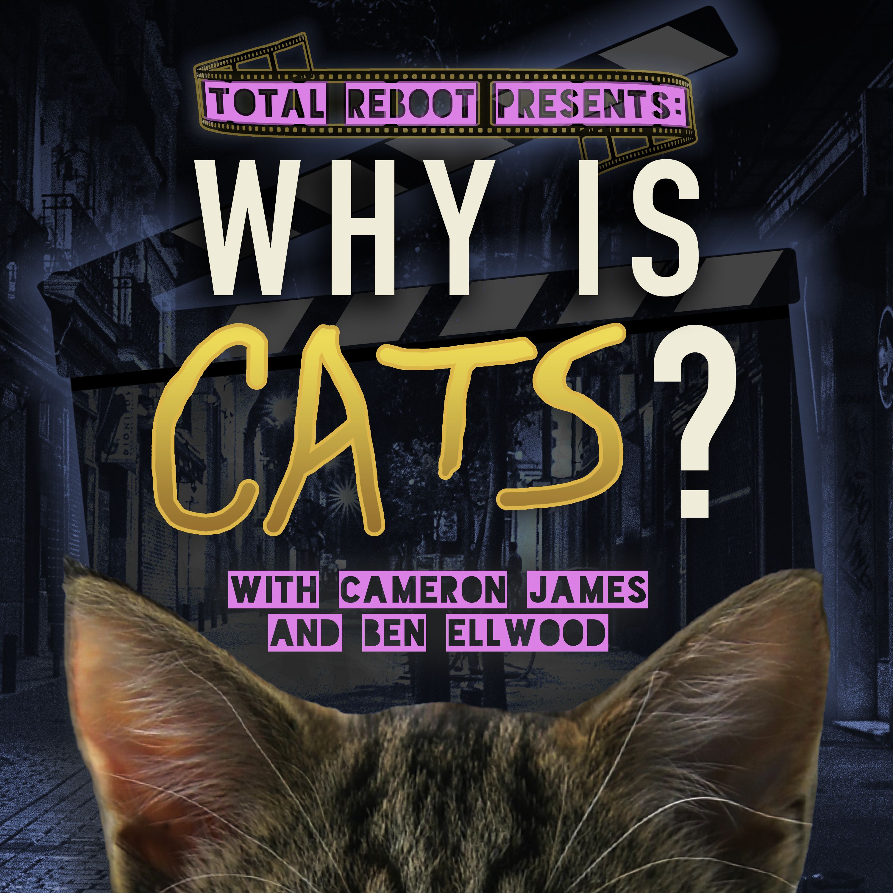 Why is Cats?