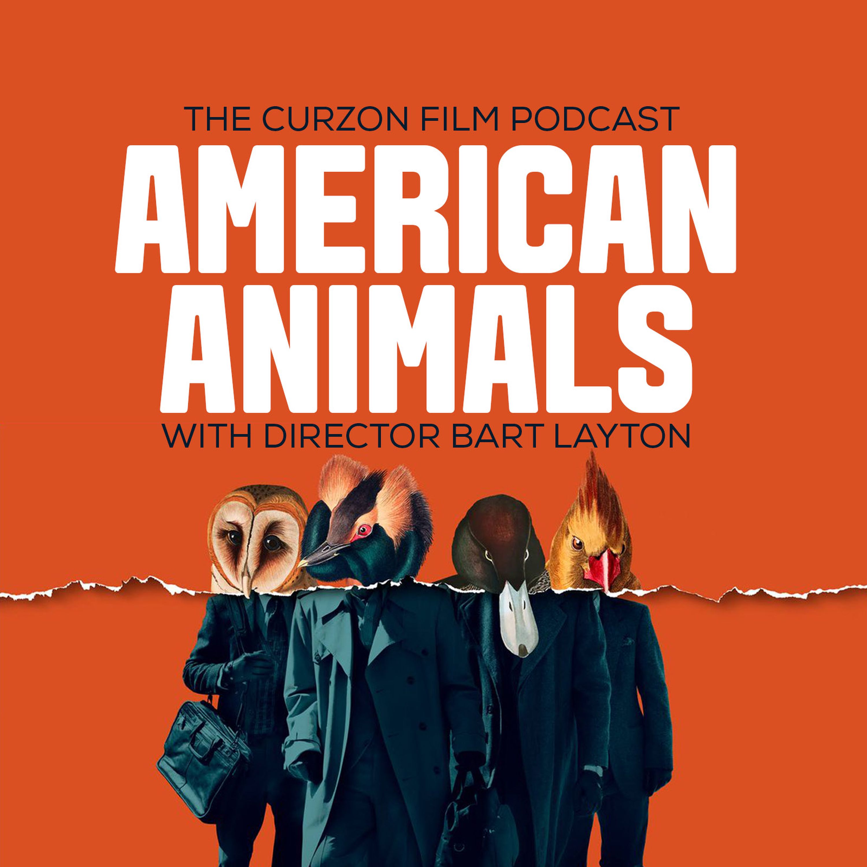 The Curzon Film Podcast