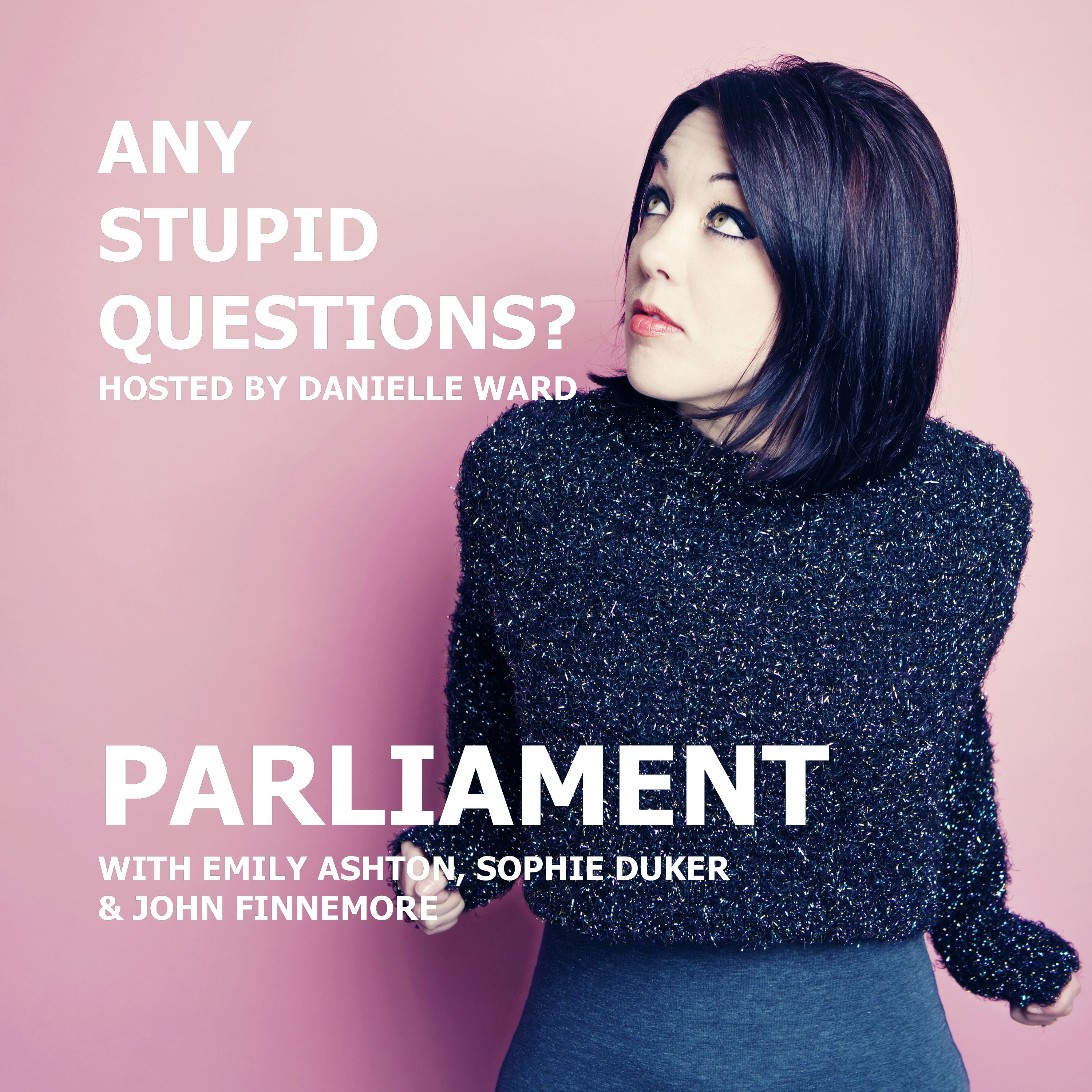 Any Stupid Questions?