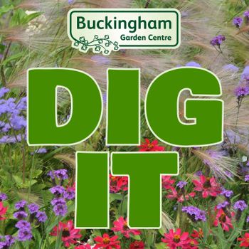 Dig It - Discussions on Gardening Topics: Cottage Garden Perennials with Rosy Hardy