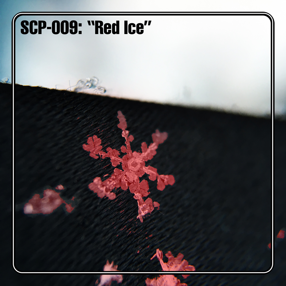印刷 009 Scp 揚げソーセージ