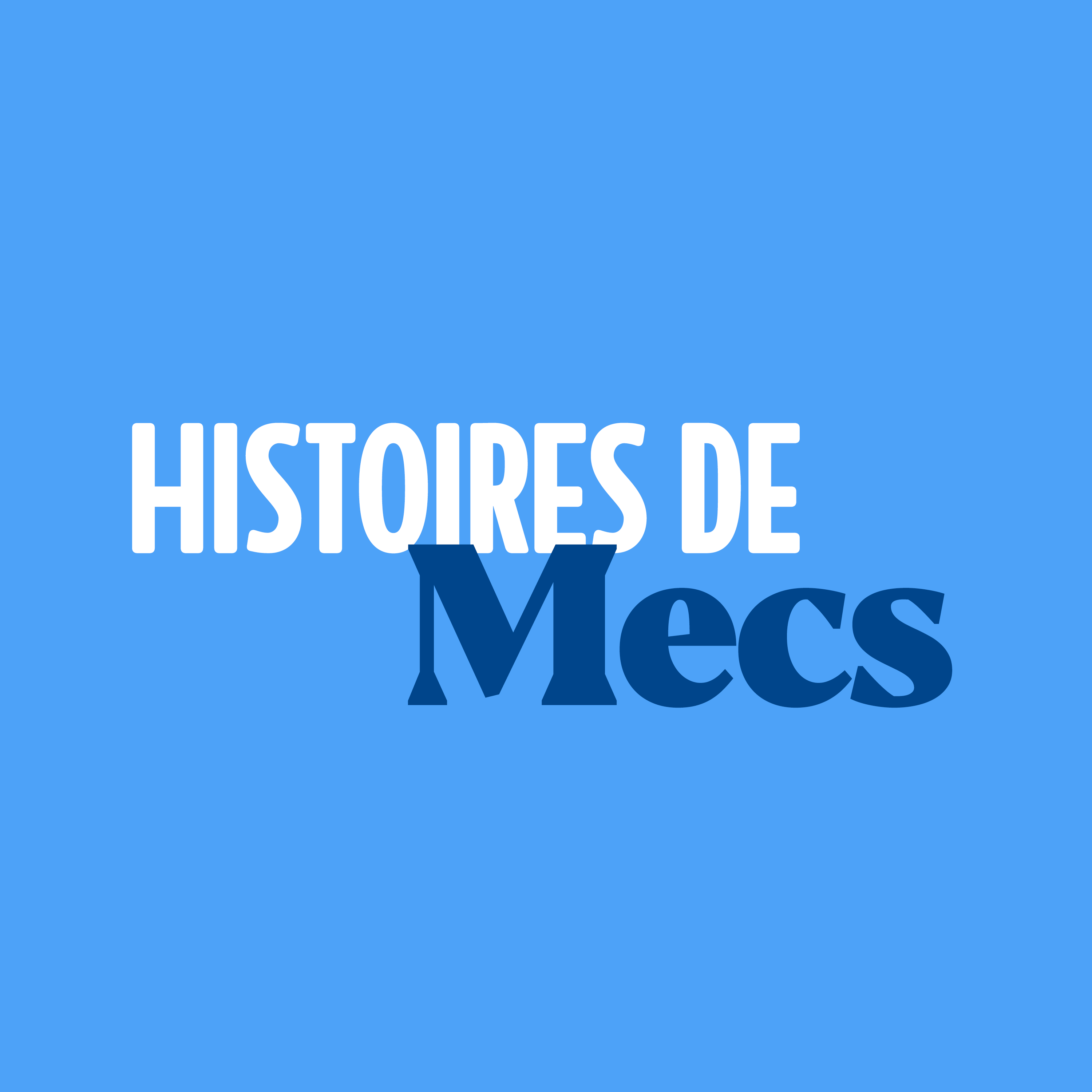 Histoires de Mecs