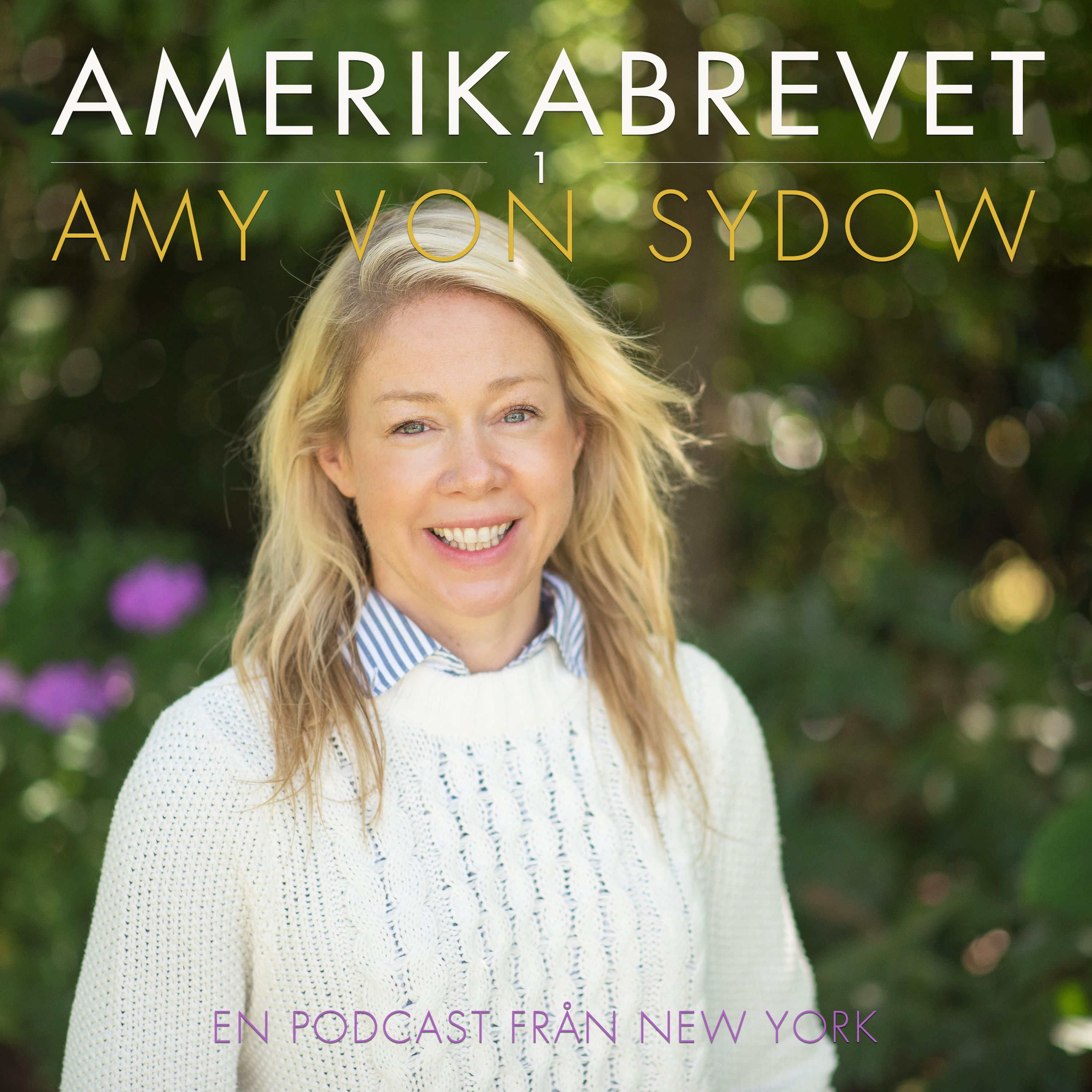 Amerikabrevet