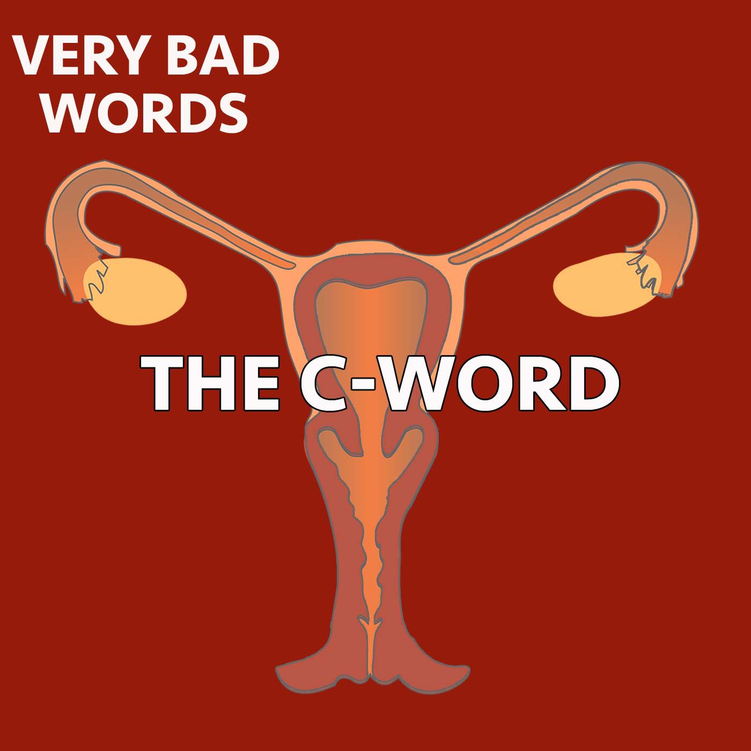 Very Bad Words