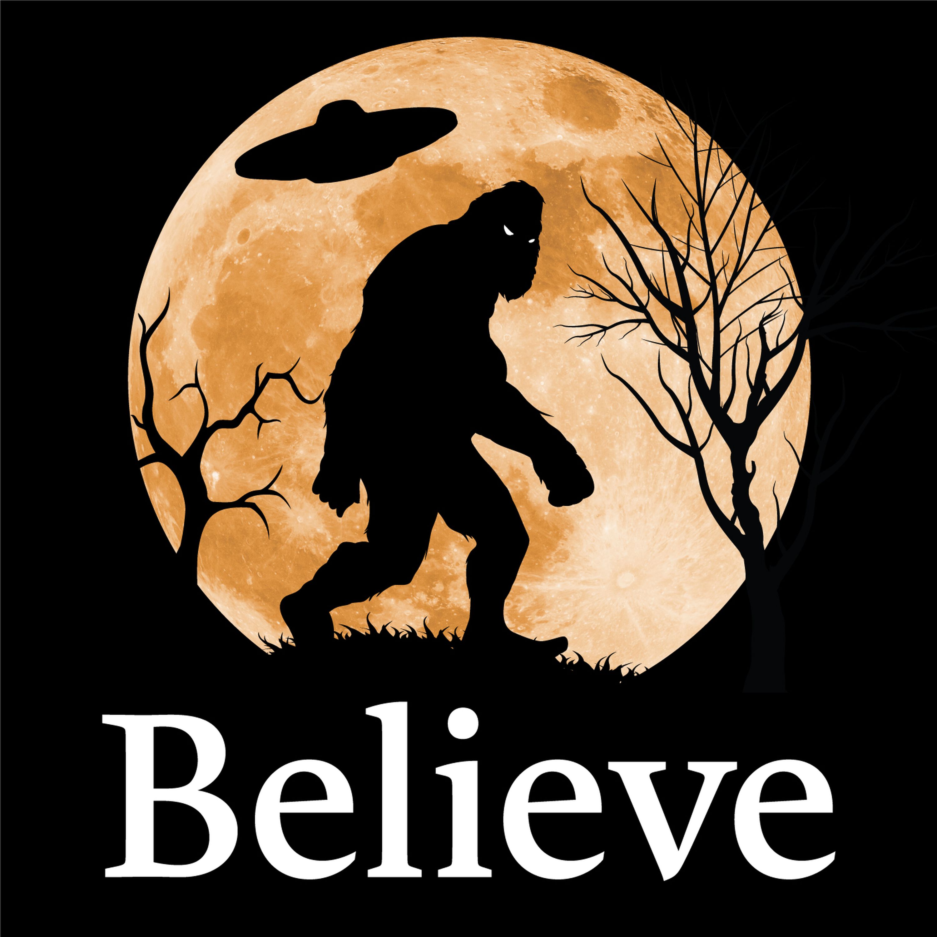 S5e3 The Min Min Light With Don Meers Australien Skies 3 Believe Paranormal Ufo Podcast On Acast don meers australien skies 3