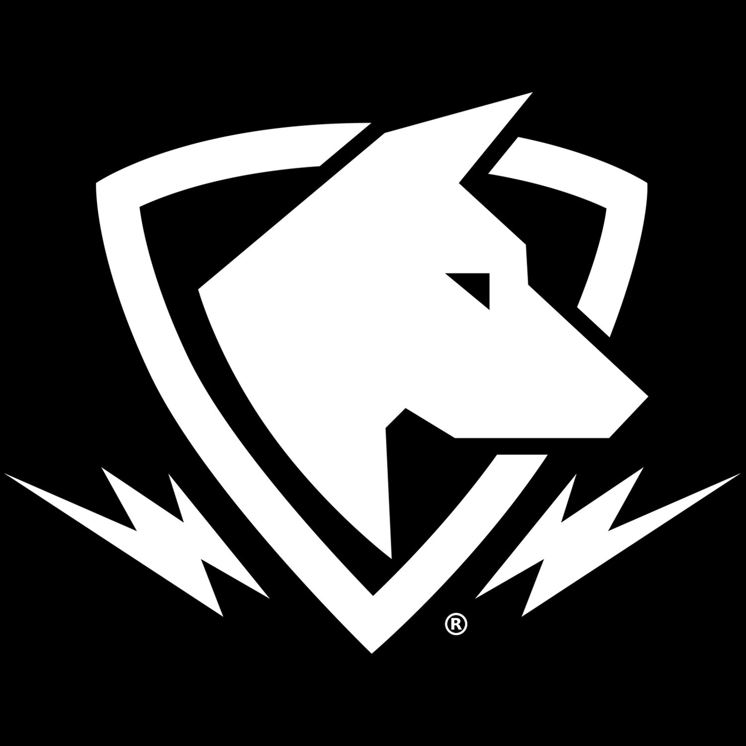Update: See Us in Durham, NC at NC Comicon - Nov 9-11 + More!
