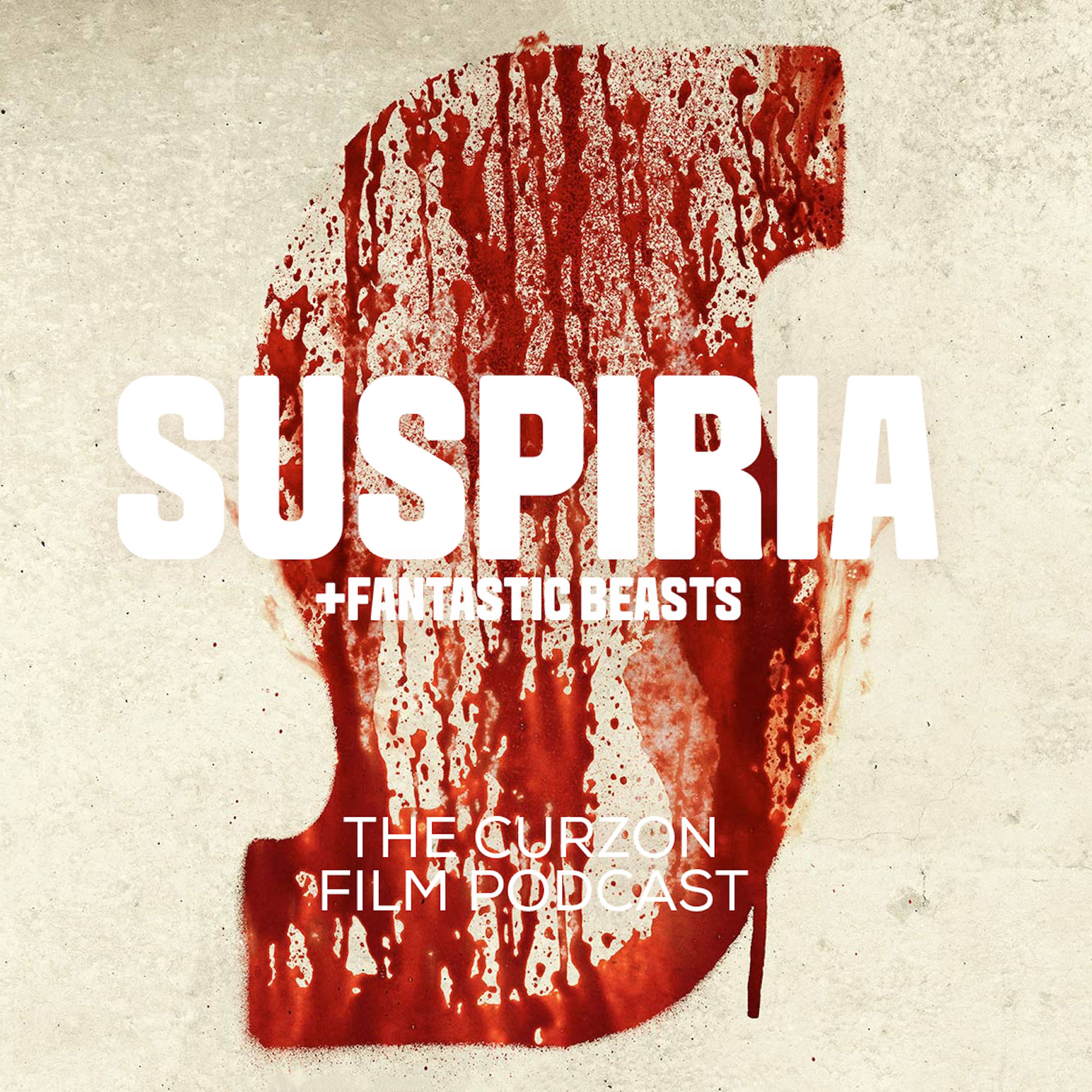 The Curzon Film Podcast