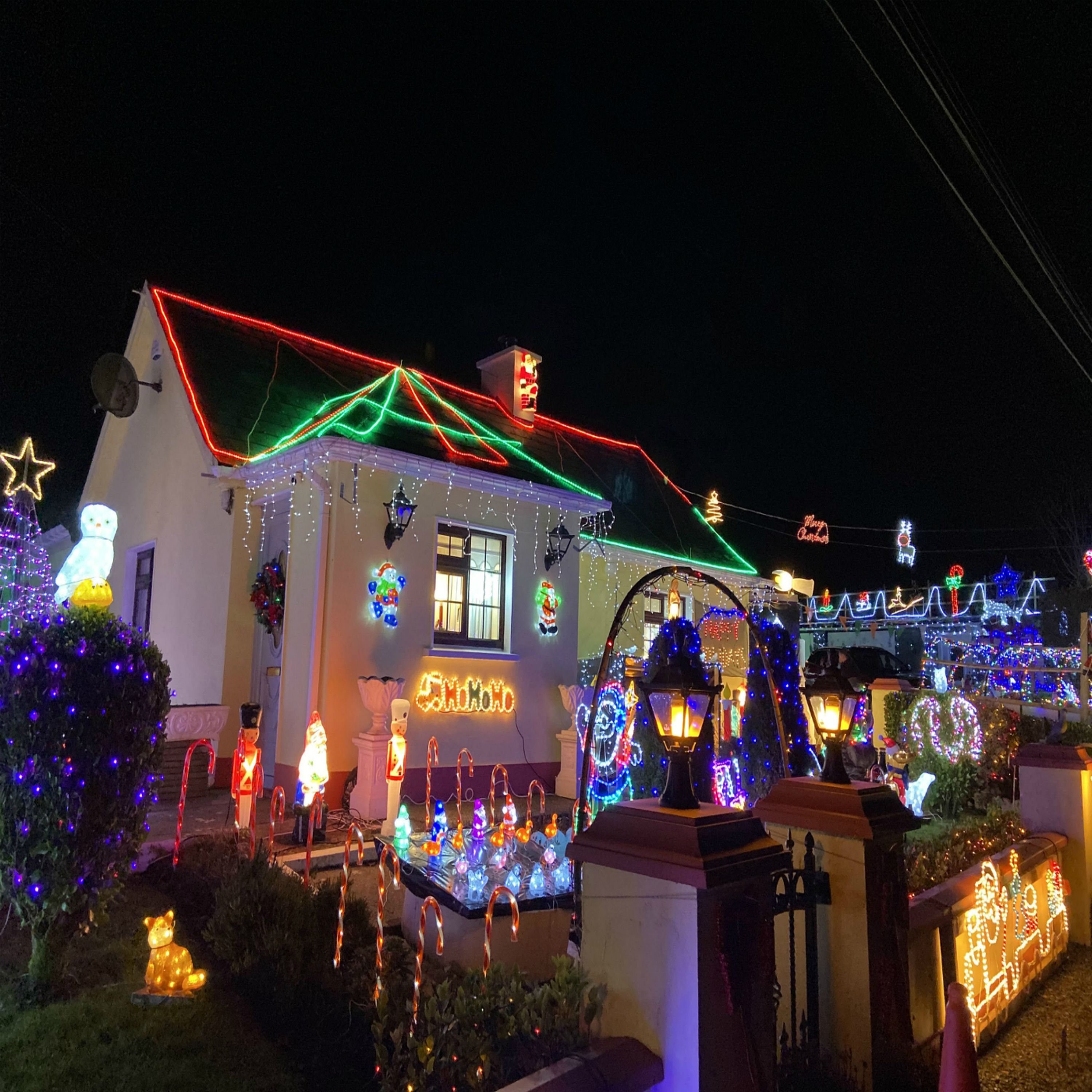 Meet The Limerick Man Who Decorated His Home With Over 200 000