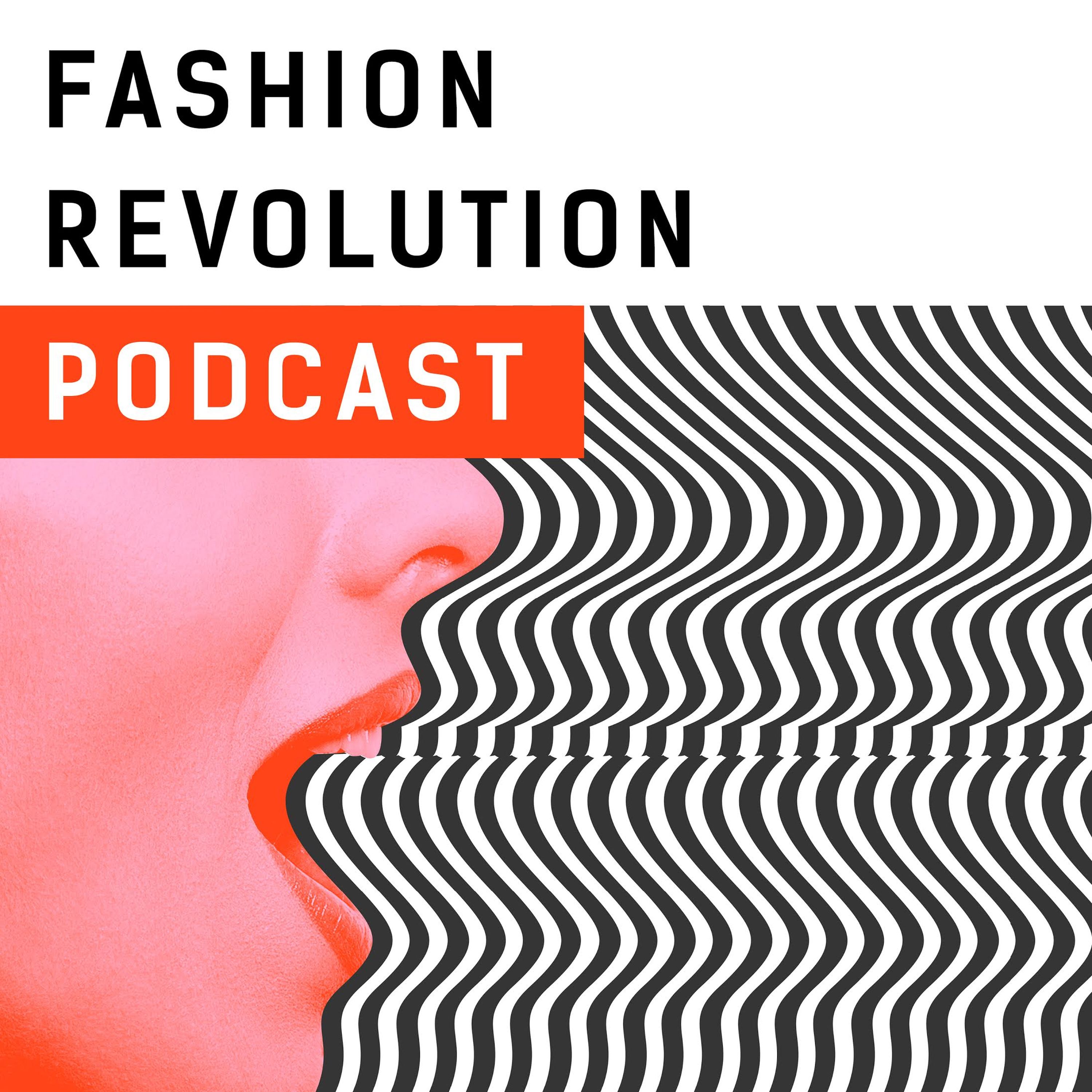 Who Made My Clothes: Garment Workers' Voices