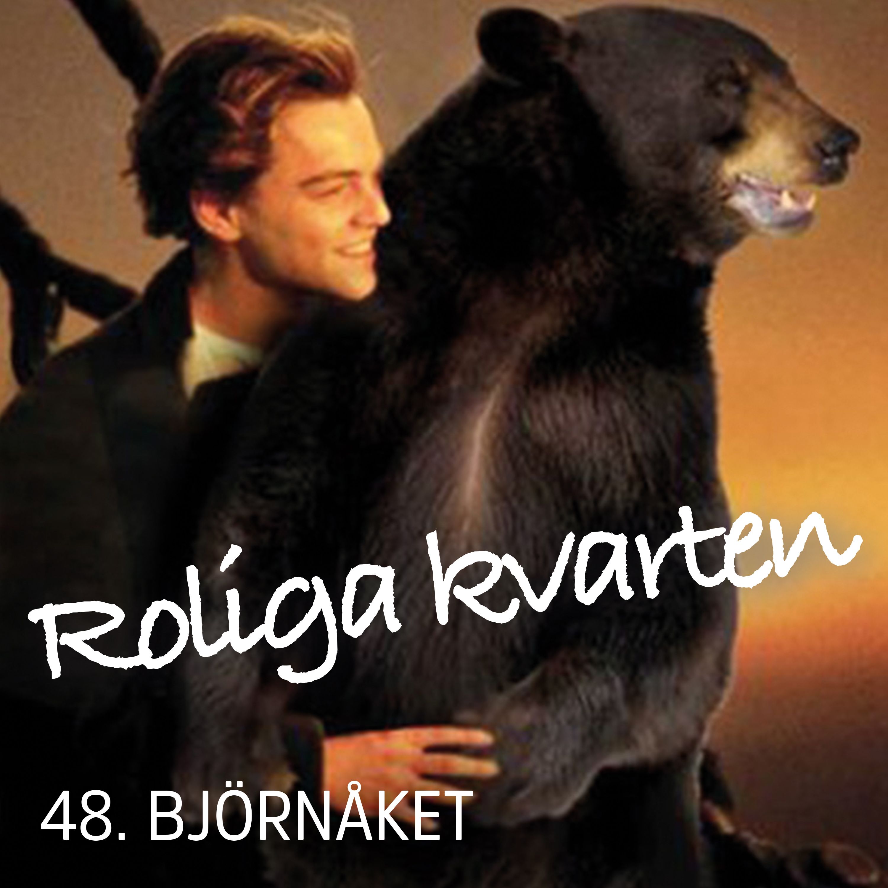 48. Björnåket