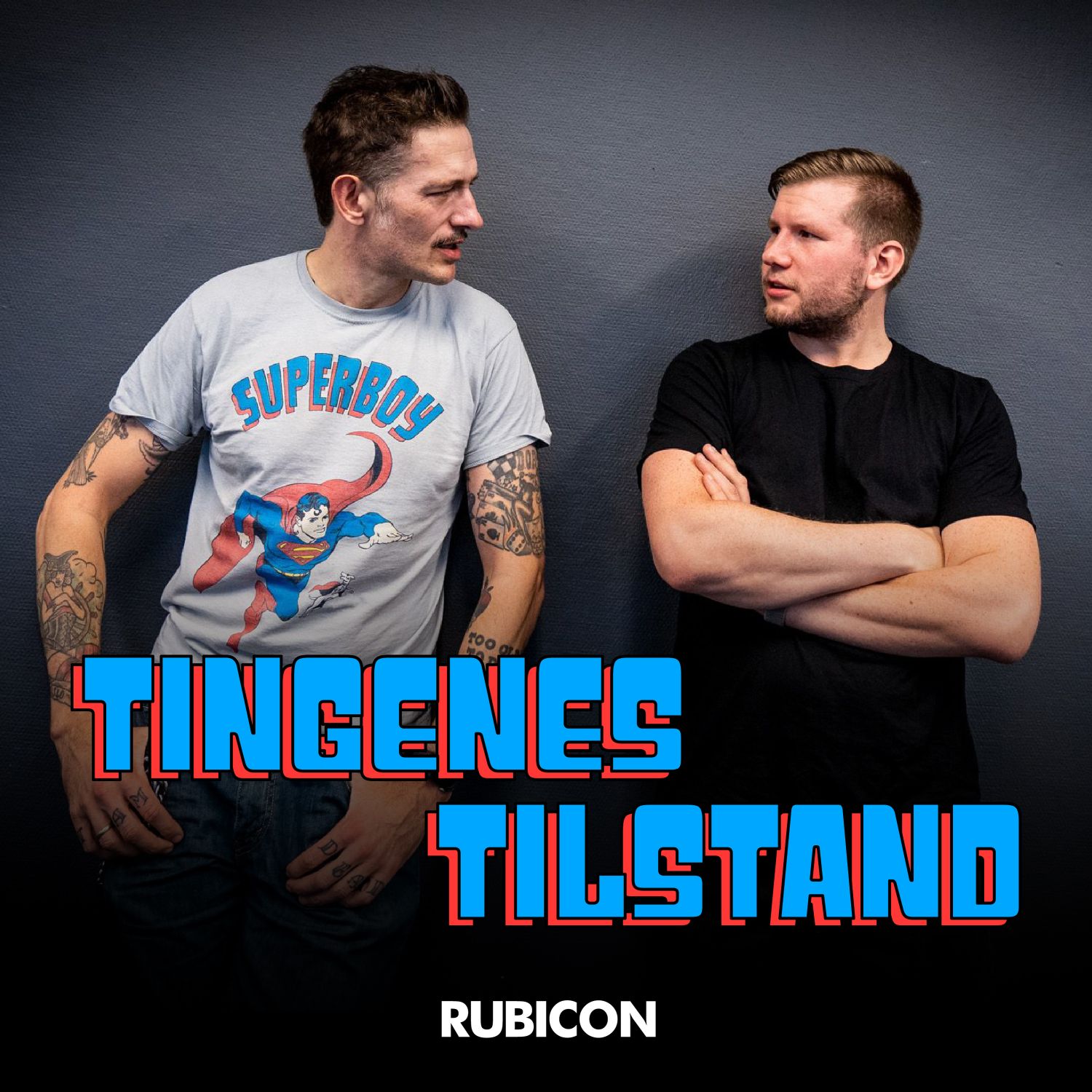 Tingenes Tilstand