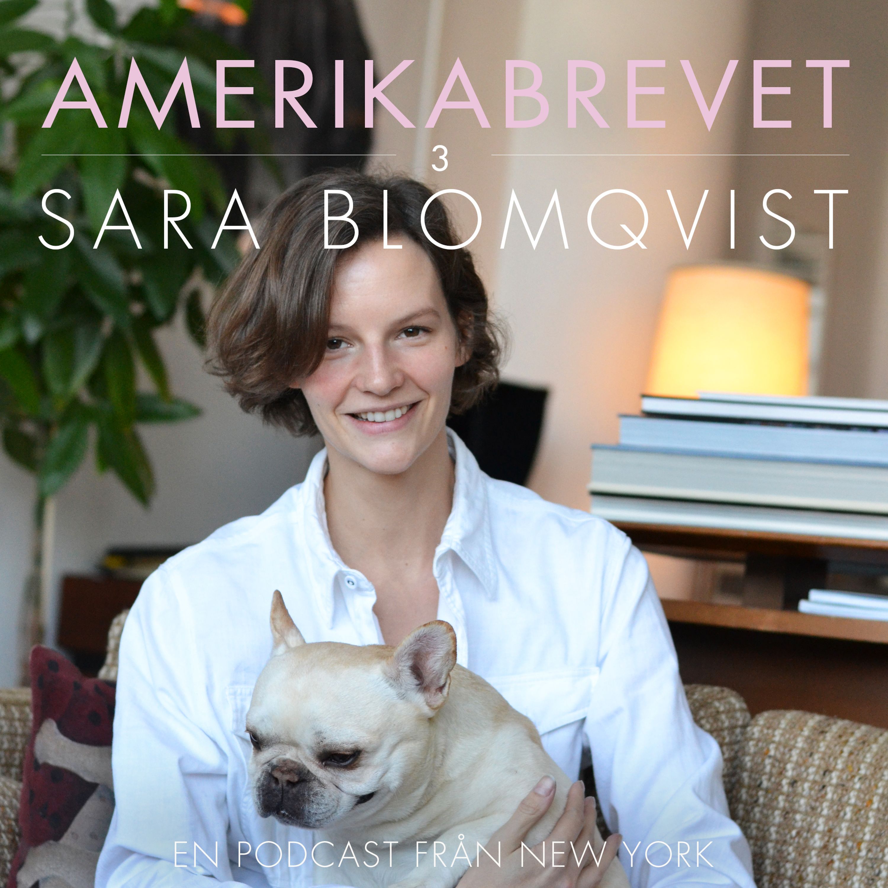 Amerikabrevet