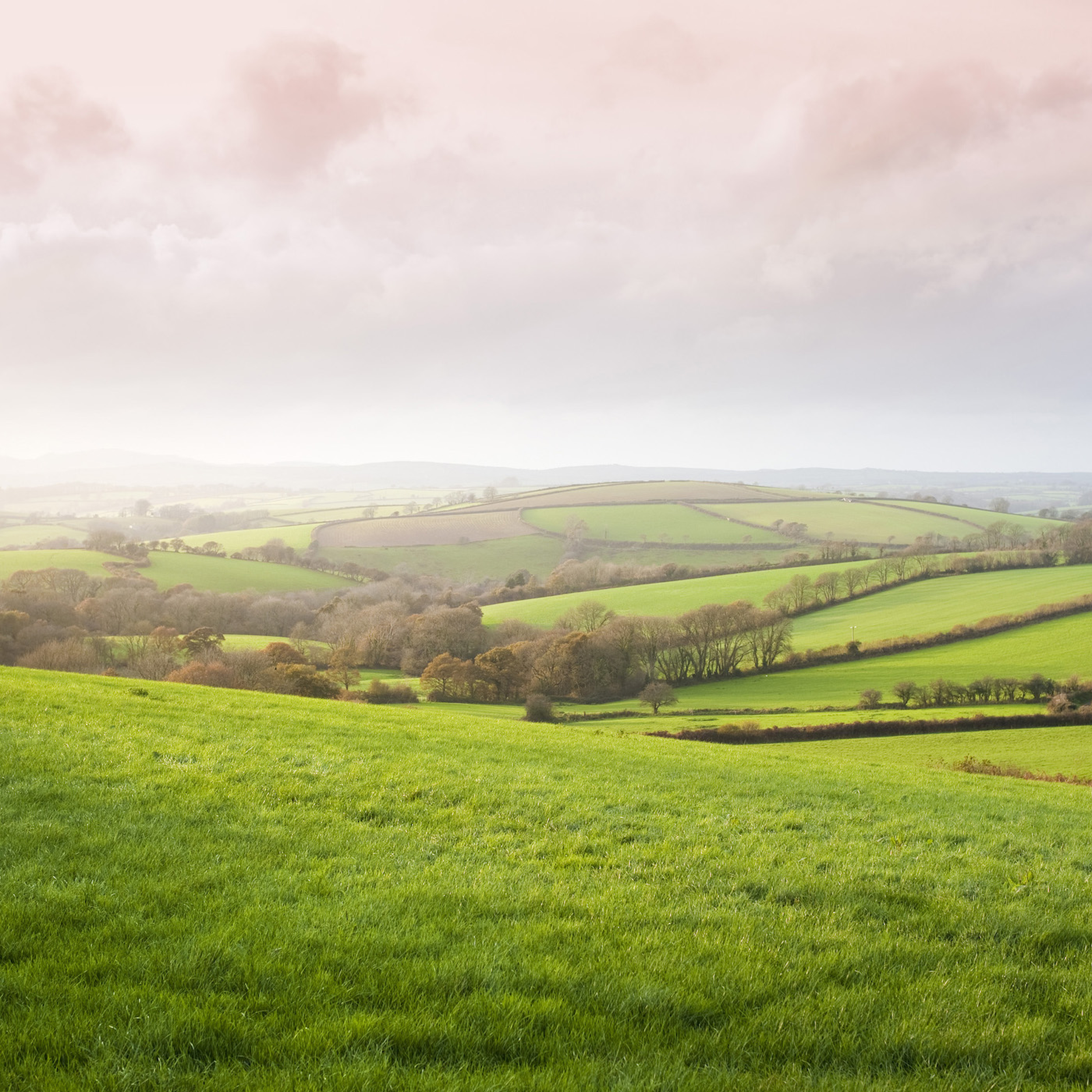 Countryside listening