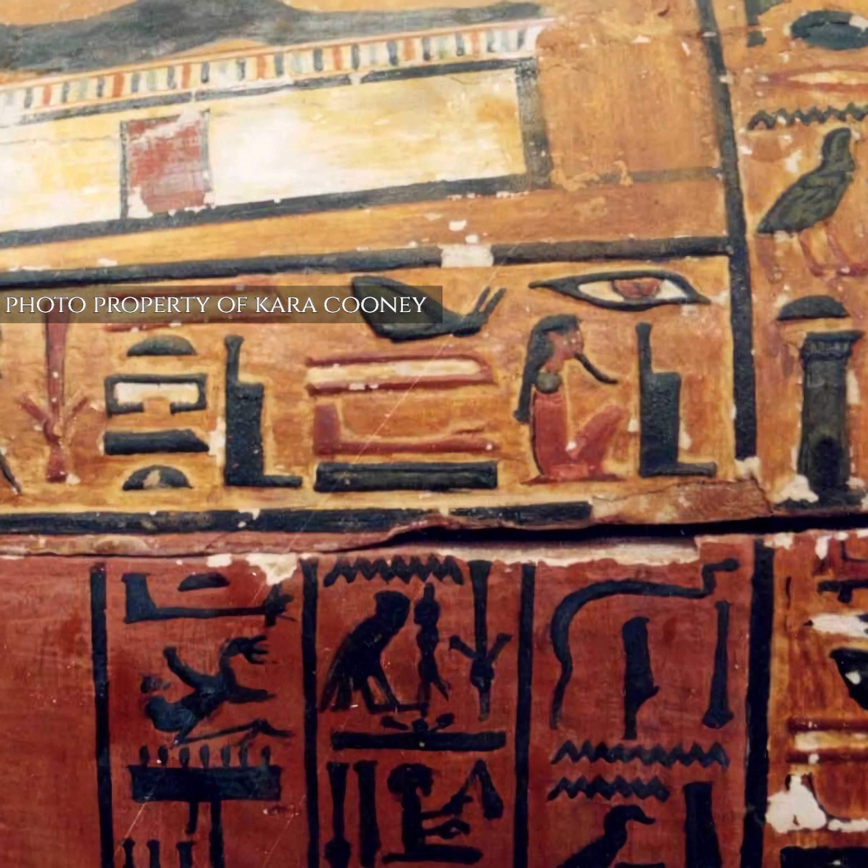 Interview: The Cost of Death with Prof. Kara Cooney
