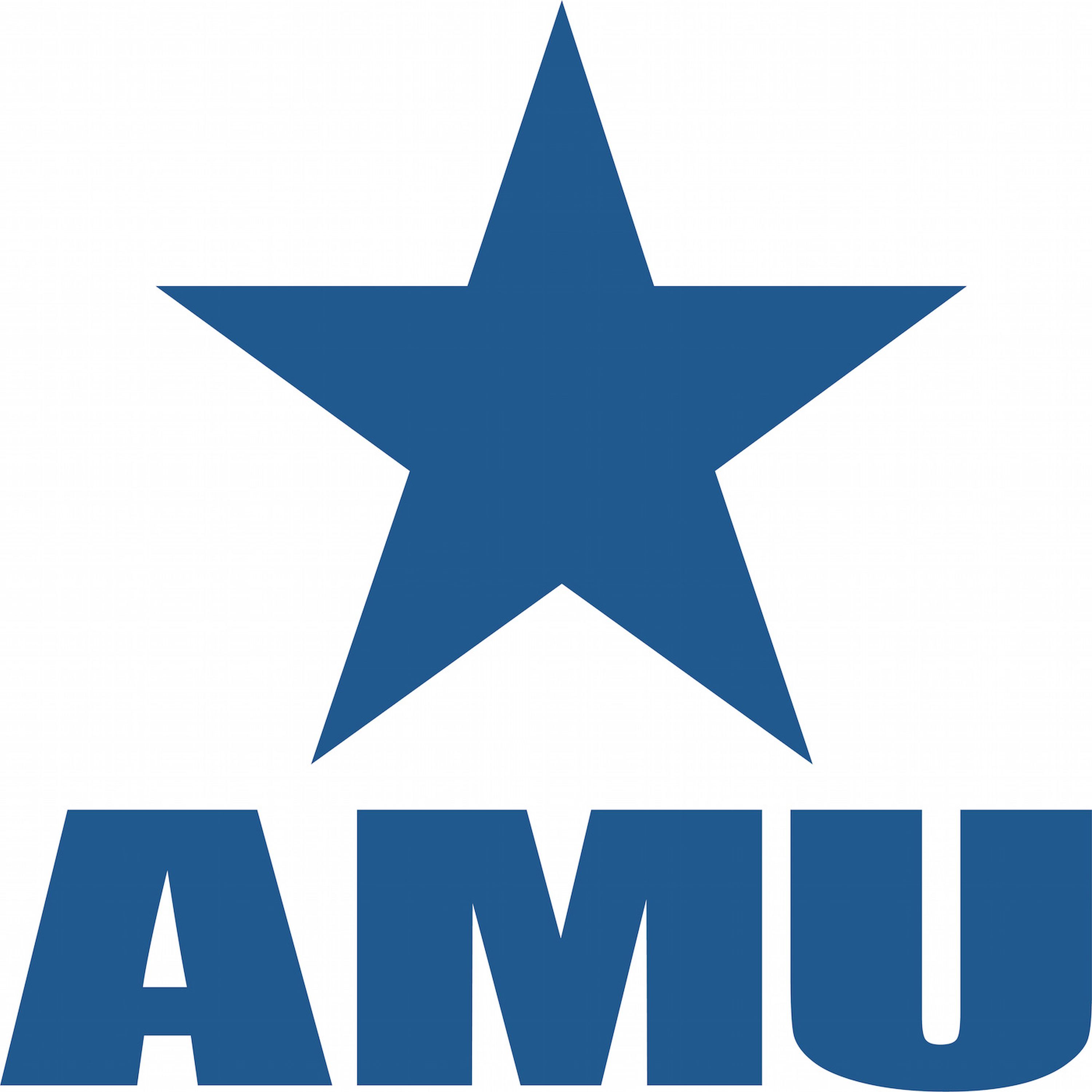 AMU The Importance of Human Rights Considerations in Modern Foreign Policy - IHS