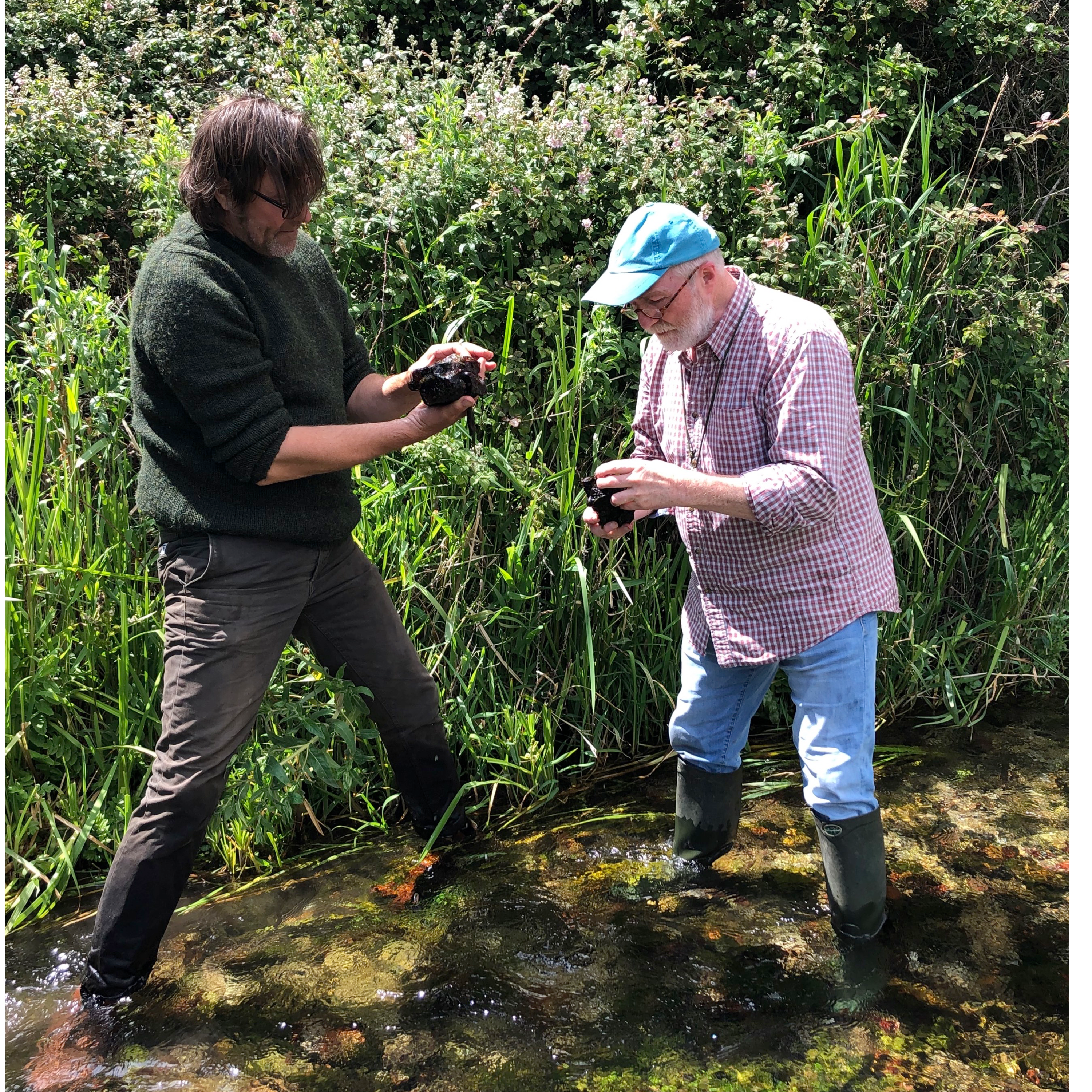 70. Exploring the amazing life of a Hampshire chalk stream with Dr George McGavin