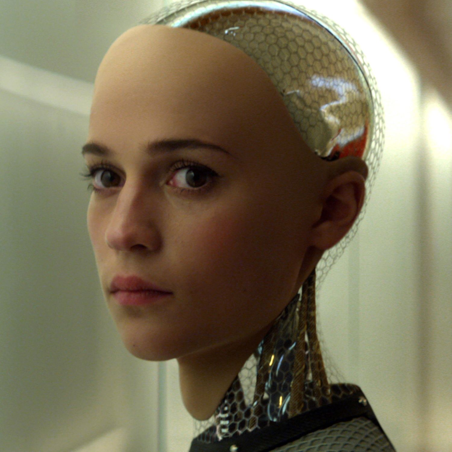 3. On Robots