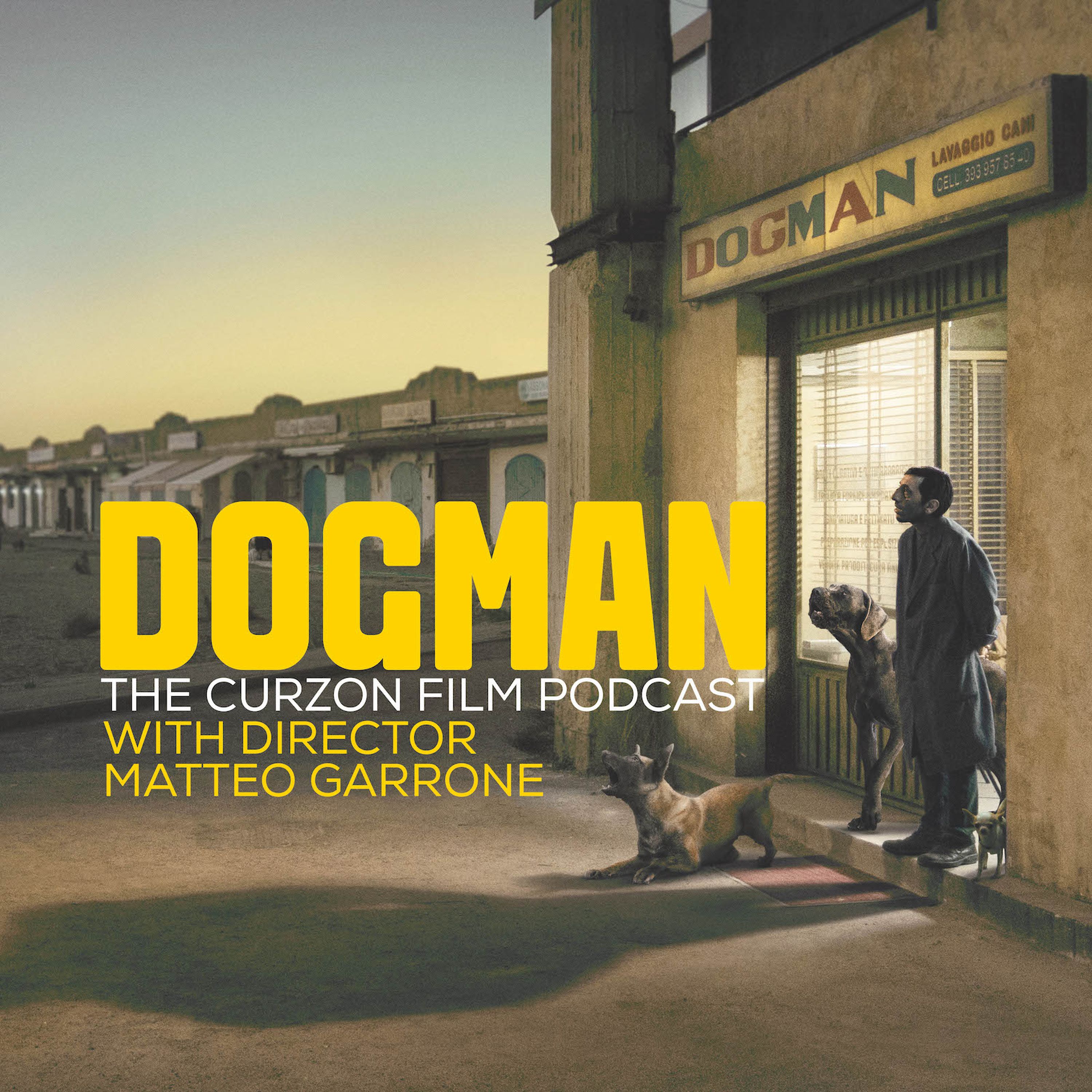 The Curzon Film Podcast