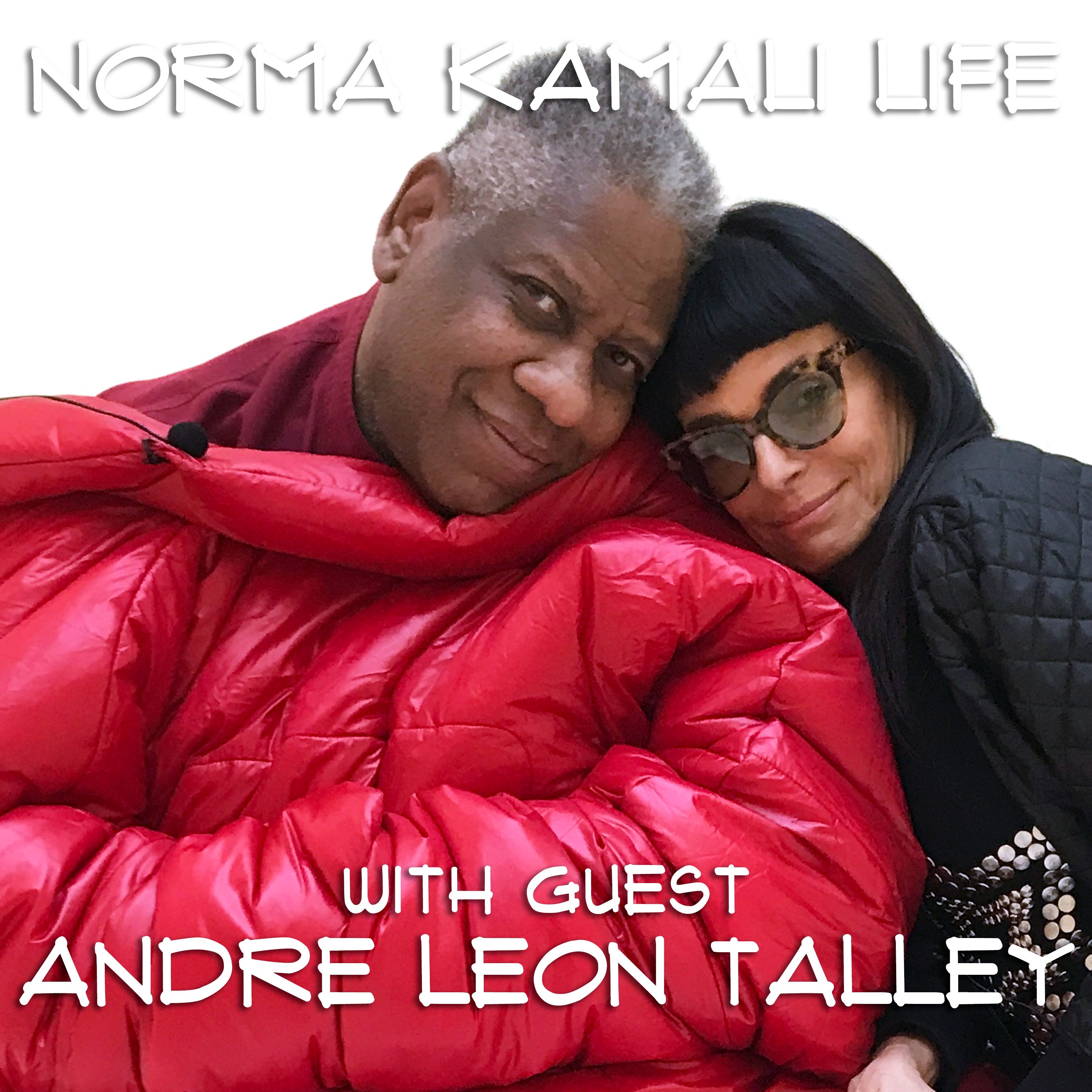 Episode 18: Andre Leon Talley (part two)