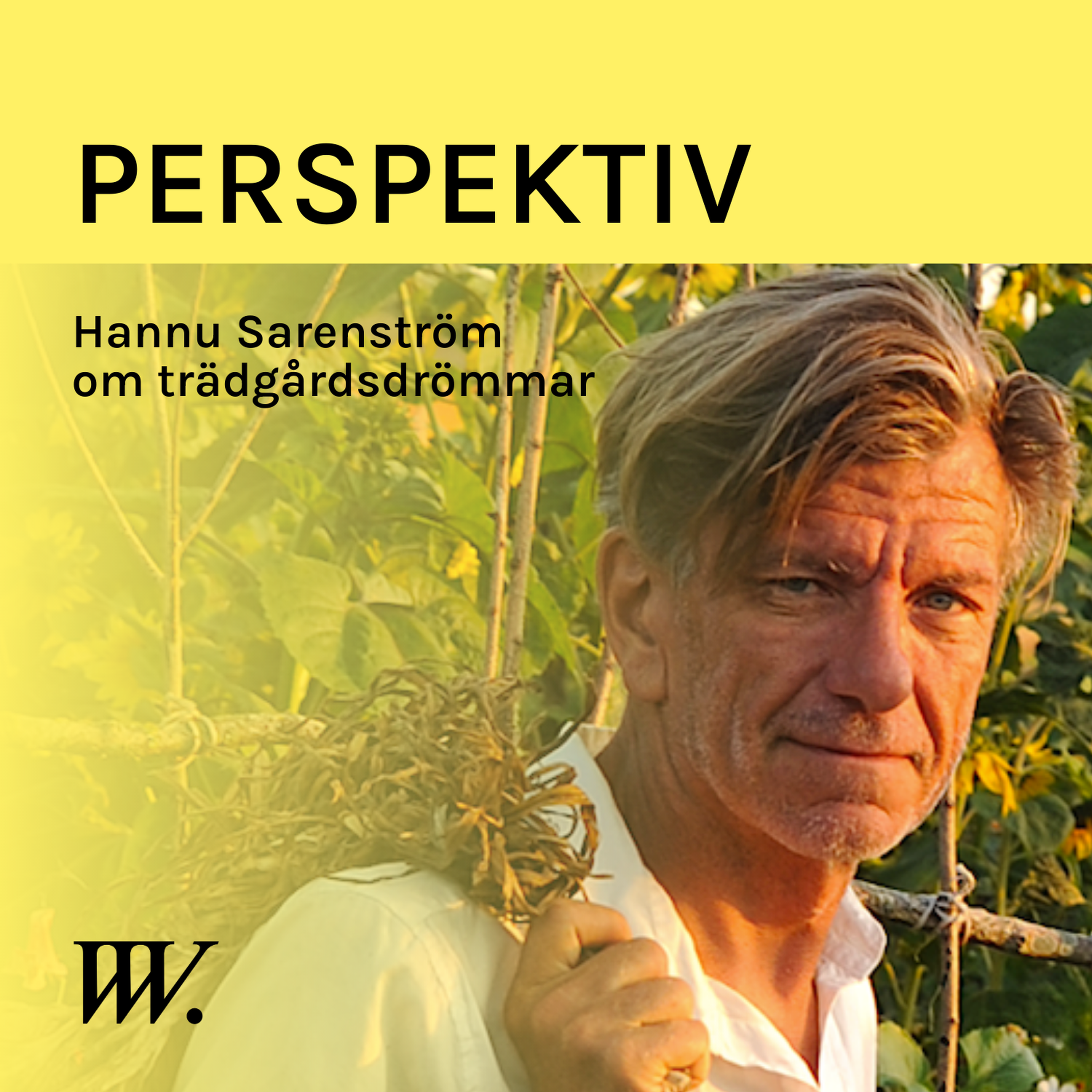 Perspektiv - med Per Grankvist