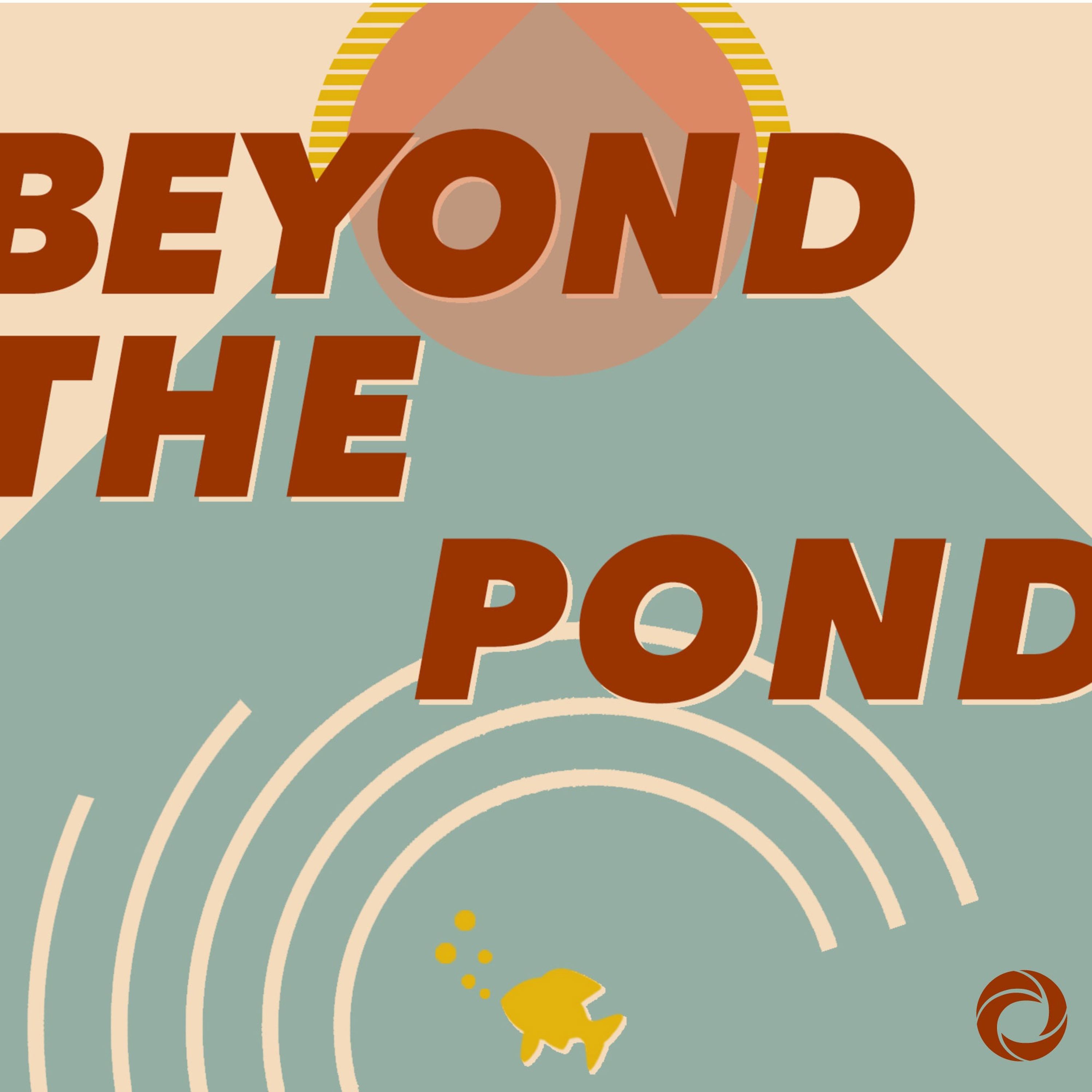 Wonder Wand Laughing Matter Episode 085 Top Albums of 2020 Beyond The Pond on acast