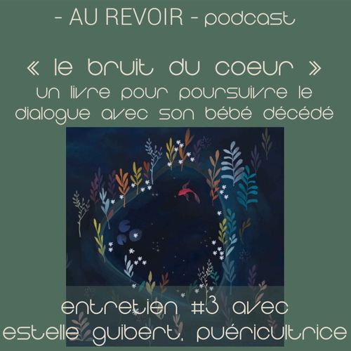 Les Entretiens D Au Revoir Podcast Le Bruit Du Coeur Un Livre Pour Poursuivre Le Dialogue Avec Son Bebe Decede Au Revoir Podcast On Acast