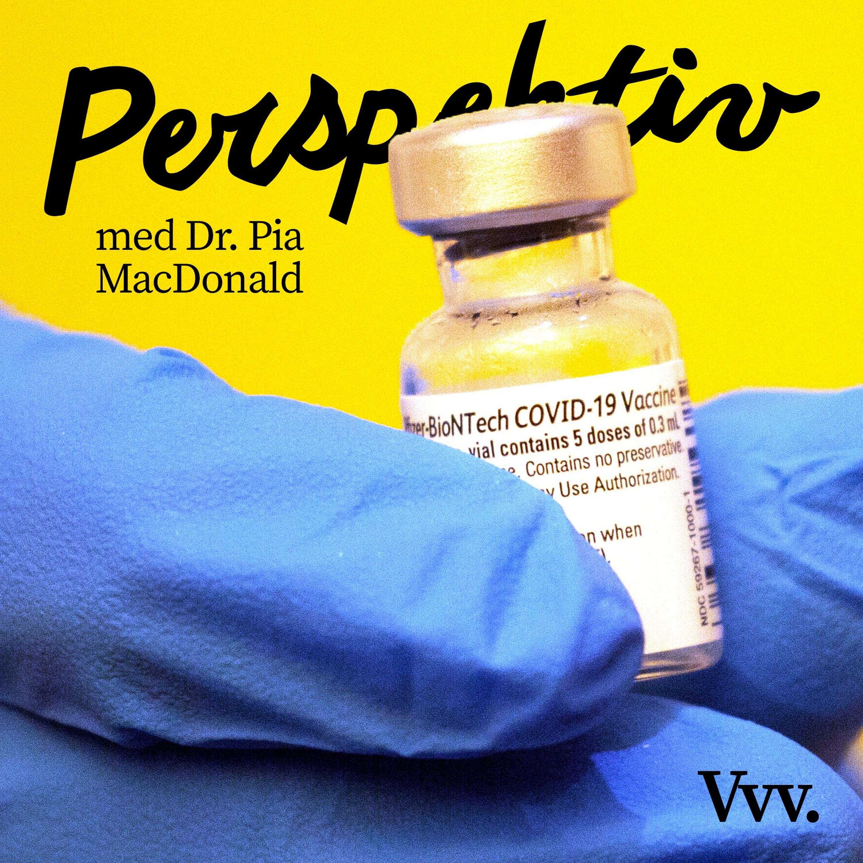 Perspektiv - med Per Grankvist