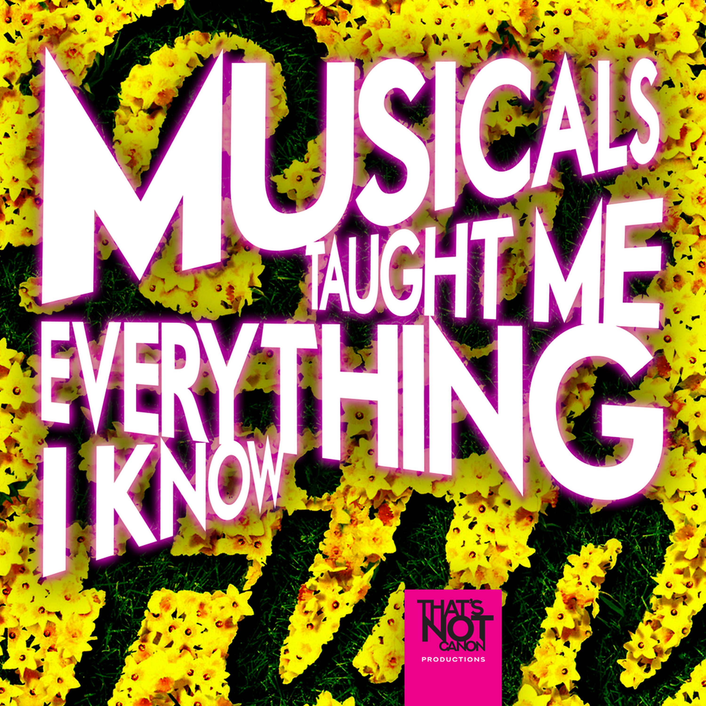 Musicals Taught Me Everything I Know