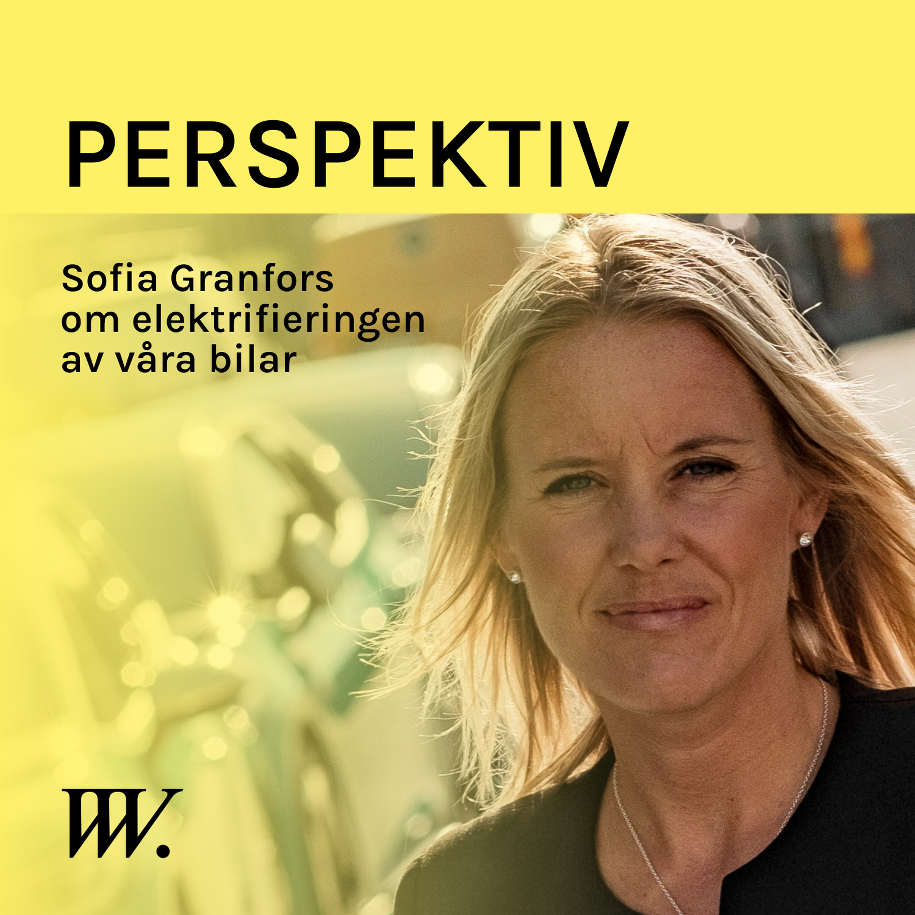 Perspektiv - med Per Grankvist