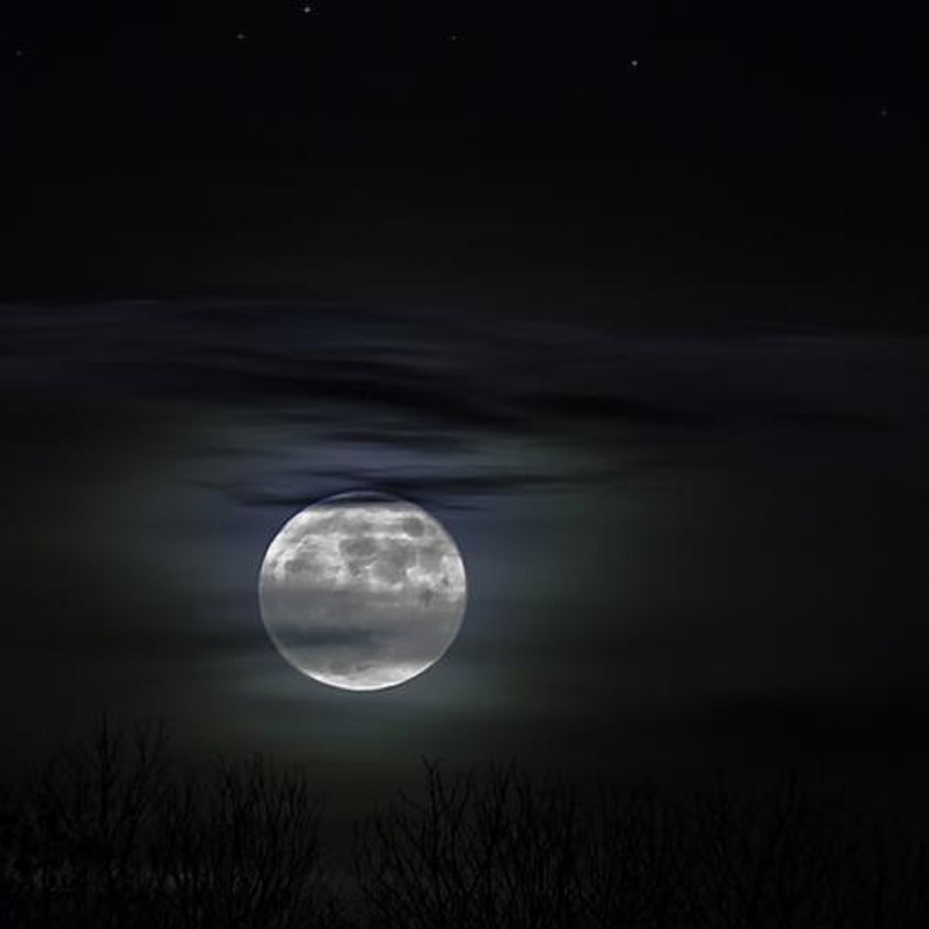 Haunted Visions: Ghosts, Urban Legends and Paranormal Phenomenon