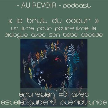 Les Entretiens D Au Revoir Podcast Le Bruit Du Coeur Un Livre Pour Poursuivre Le Dialogue Avec Son Bebe Decede Au Revoir Podcast On Acast