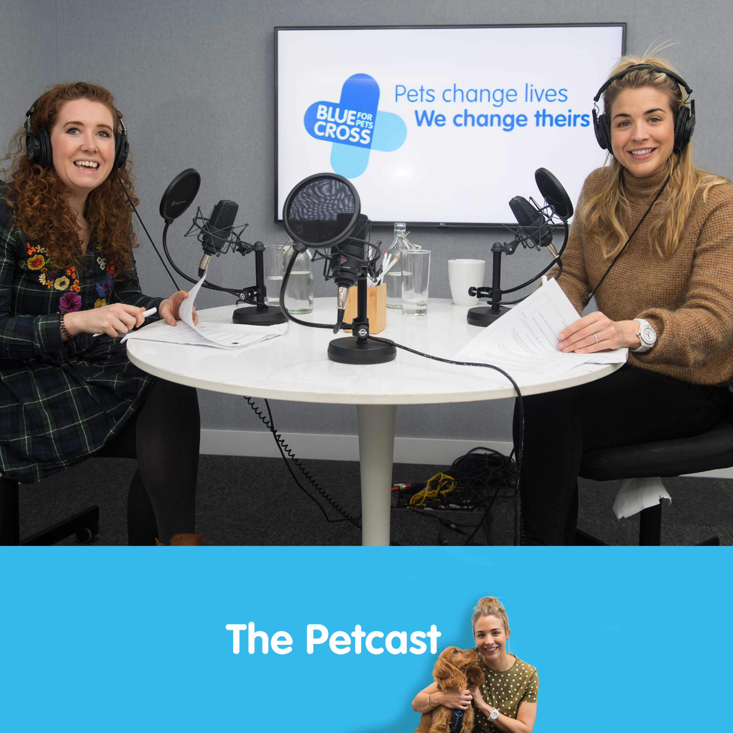 The Petcast