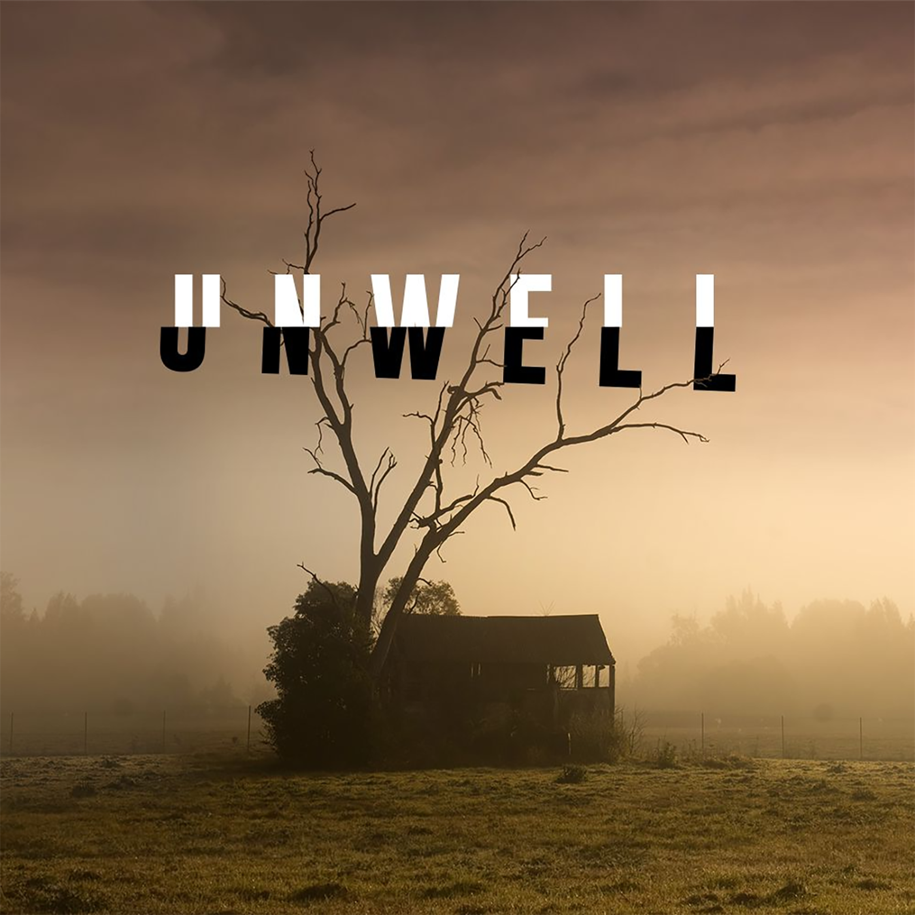 Meet our Cousins: Unwell