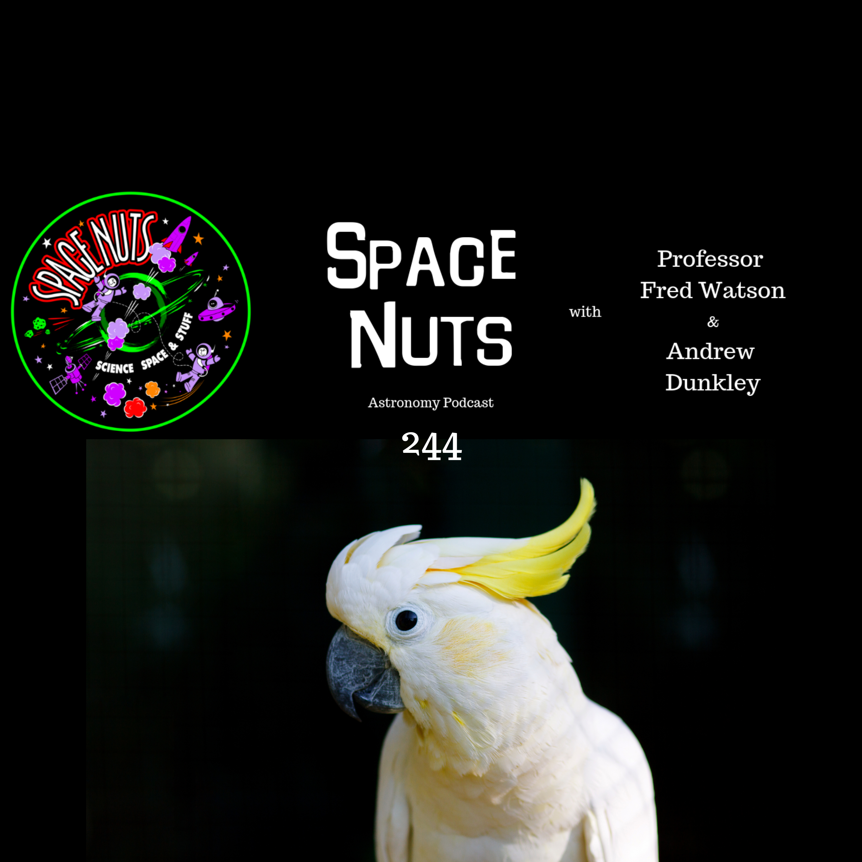 SpaceTime: Your Guide to Space & Astronomy