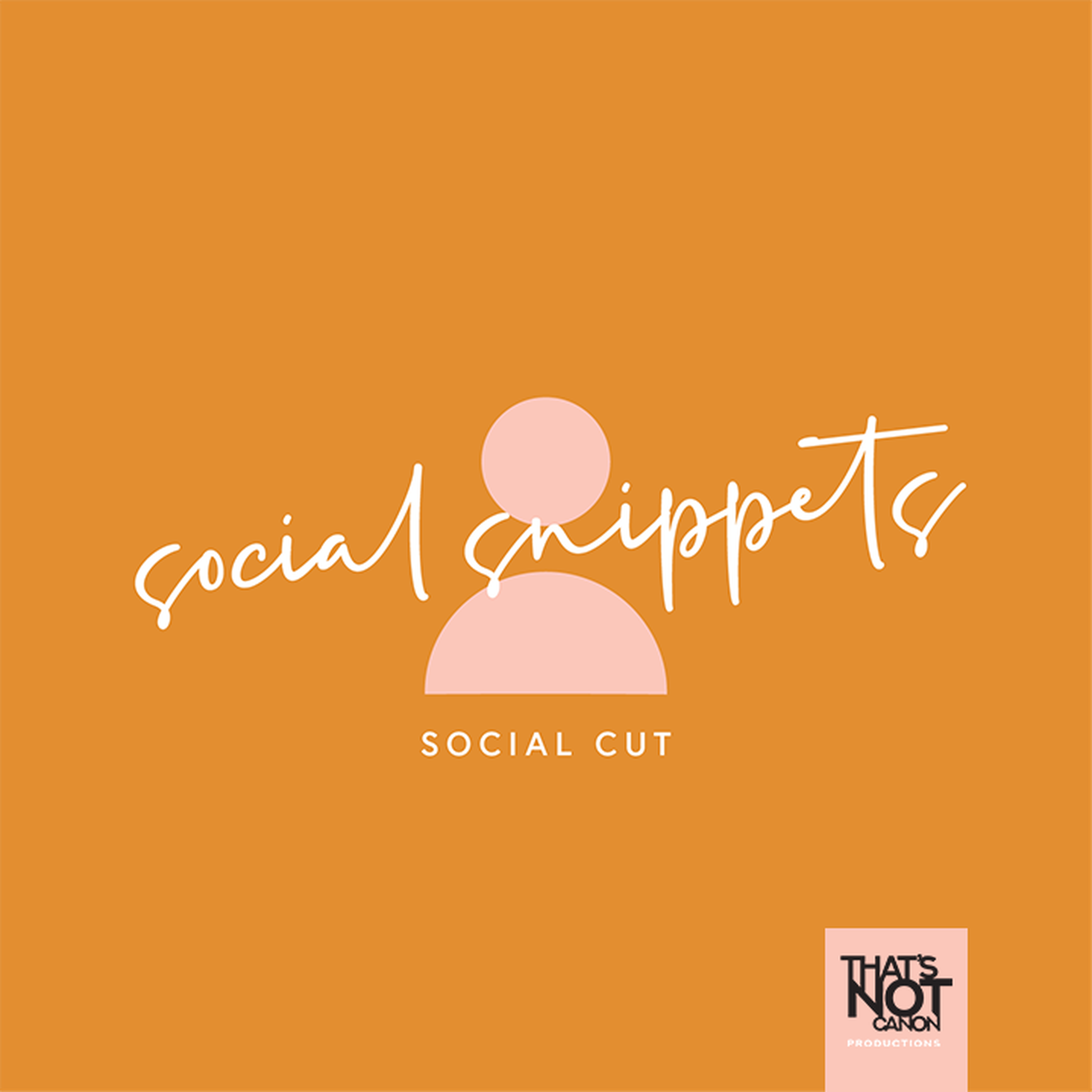 Social Snippets