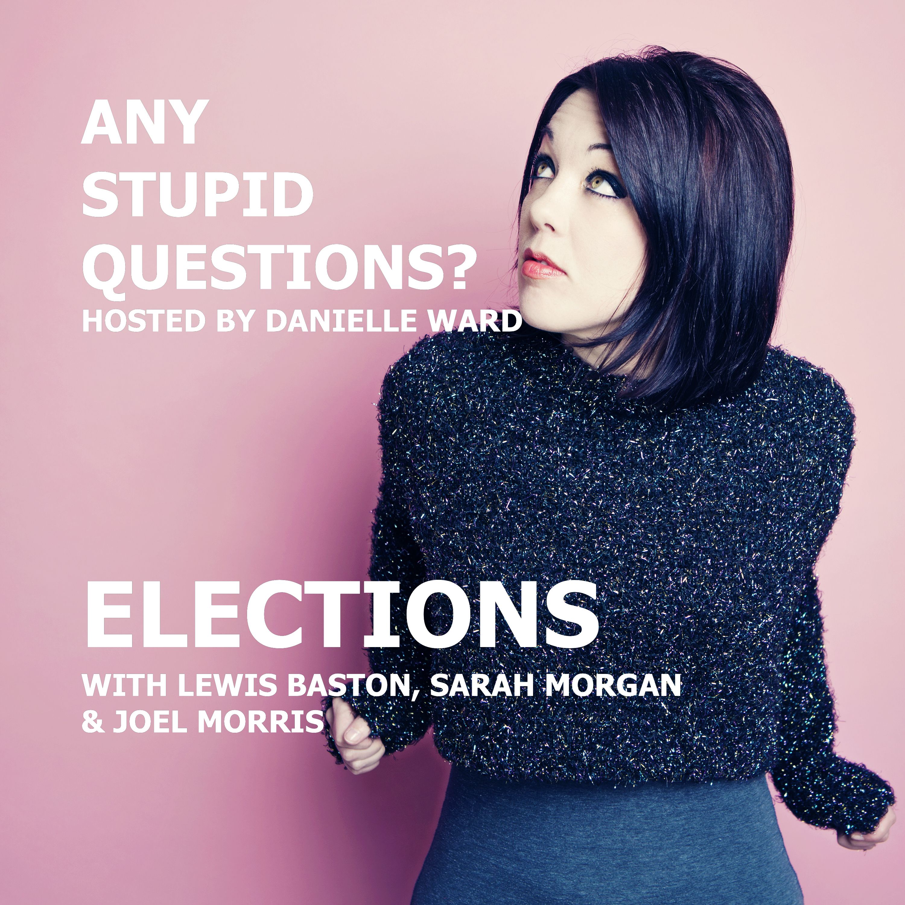 Any Stupid Questions about... Elections?