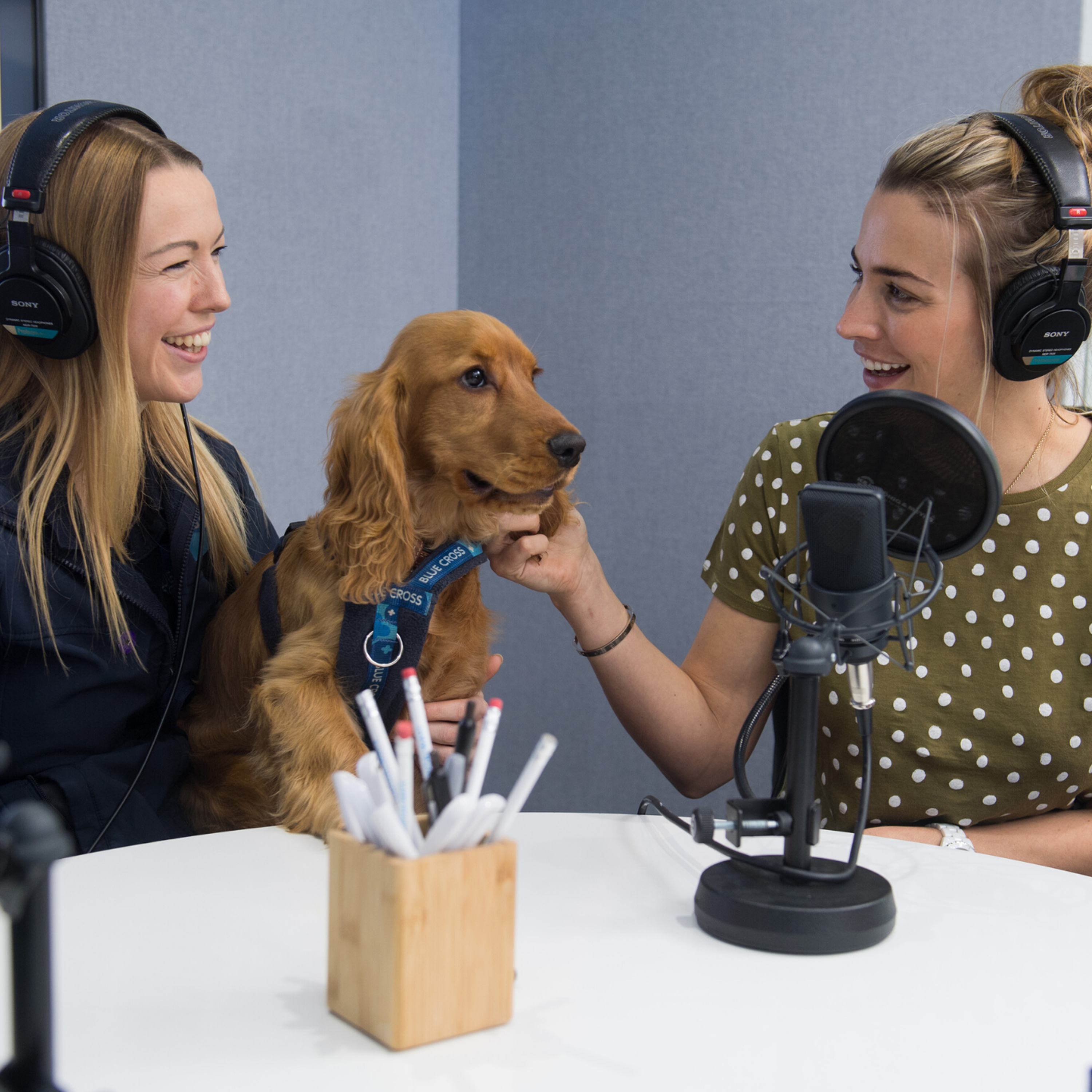 The Petcast