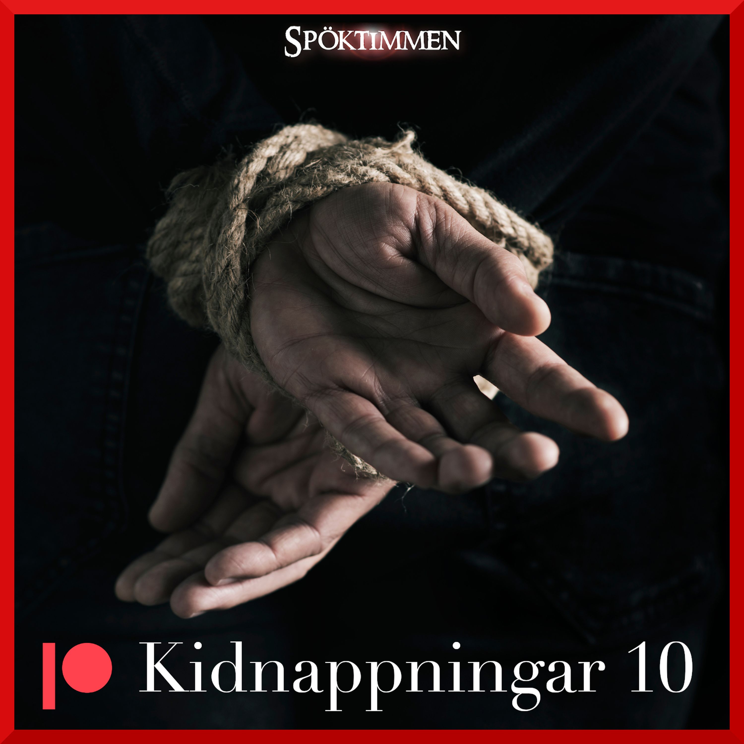 Kidnappningar 10 (Bonusavsnitt)
