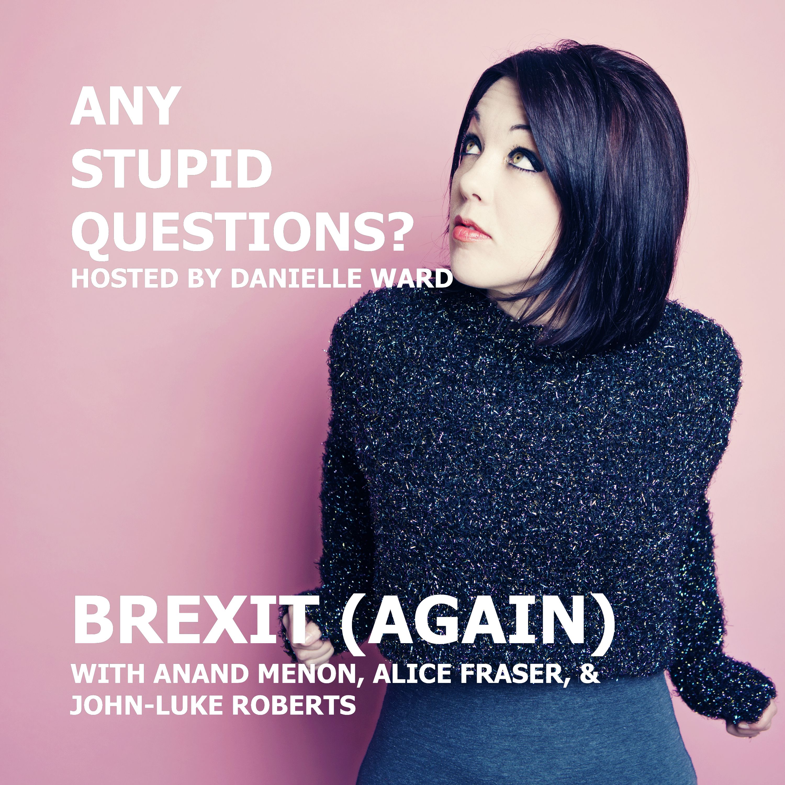 Any Stupid Questions?