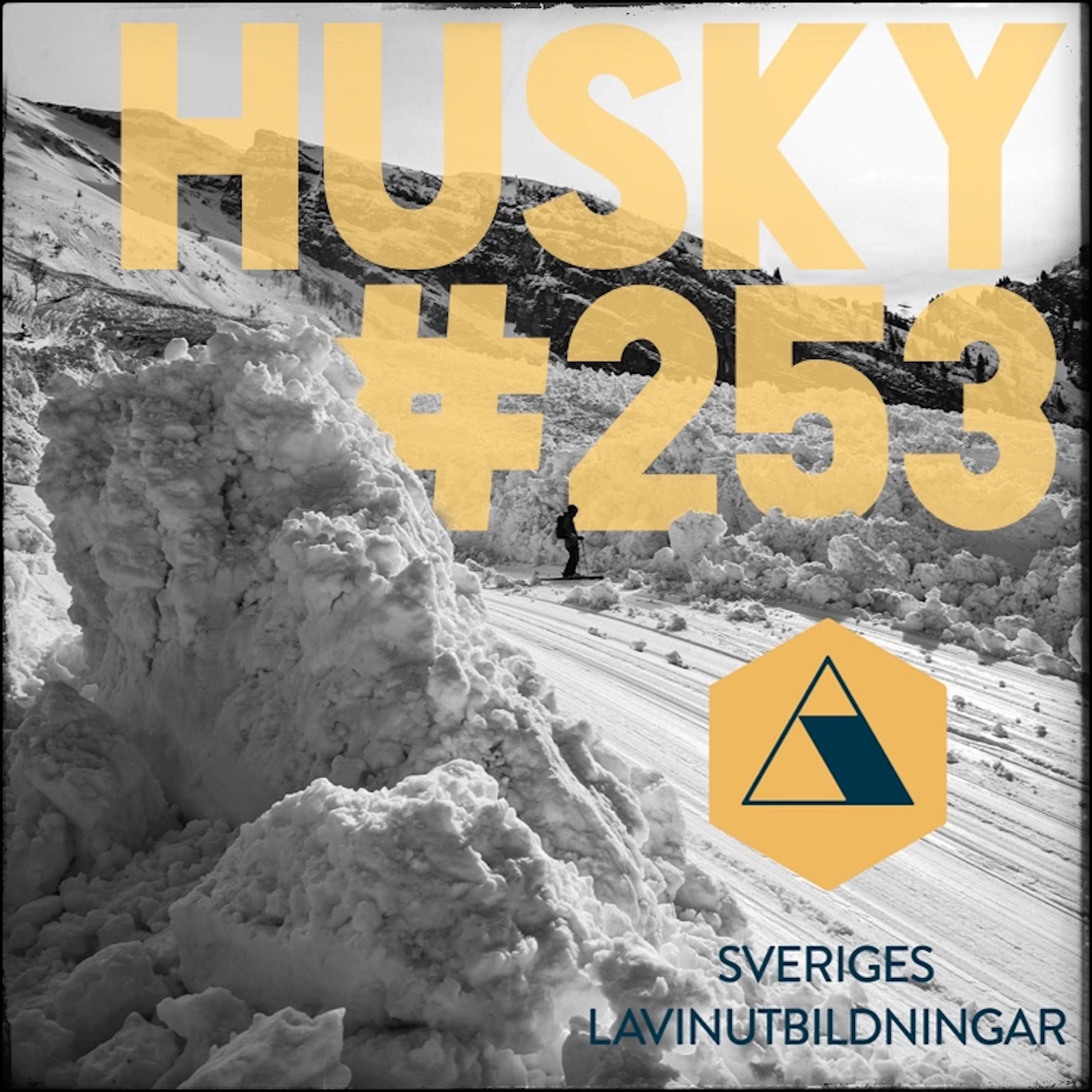 Panelsamtal om riskbedömning och beslutsfattande i lavinterräng med Sveriges Lavinutbildningar, #253