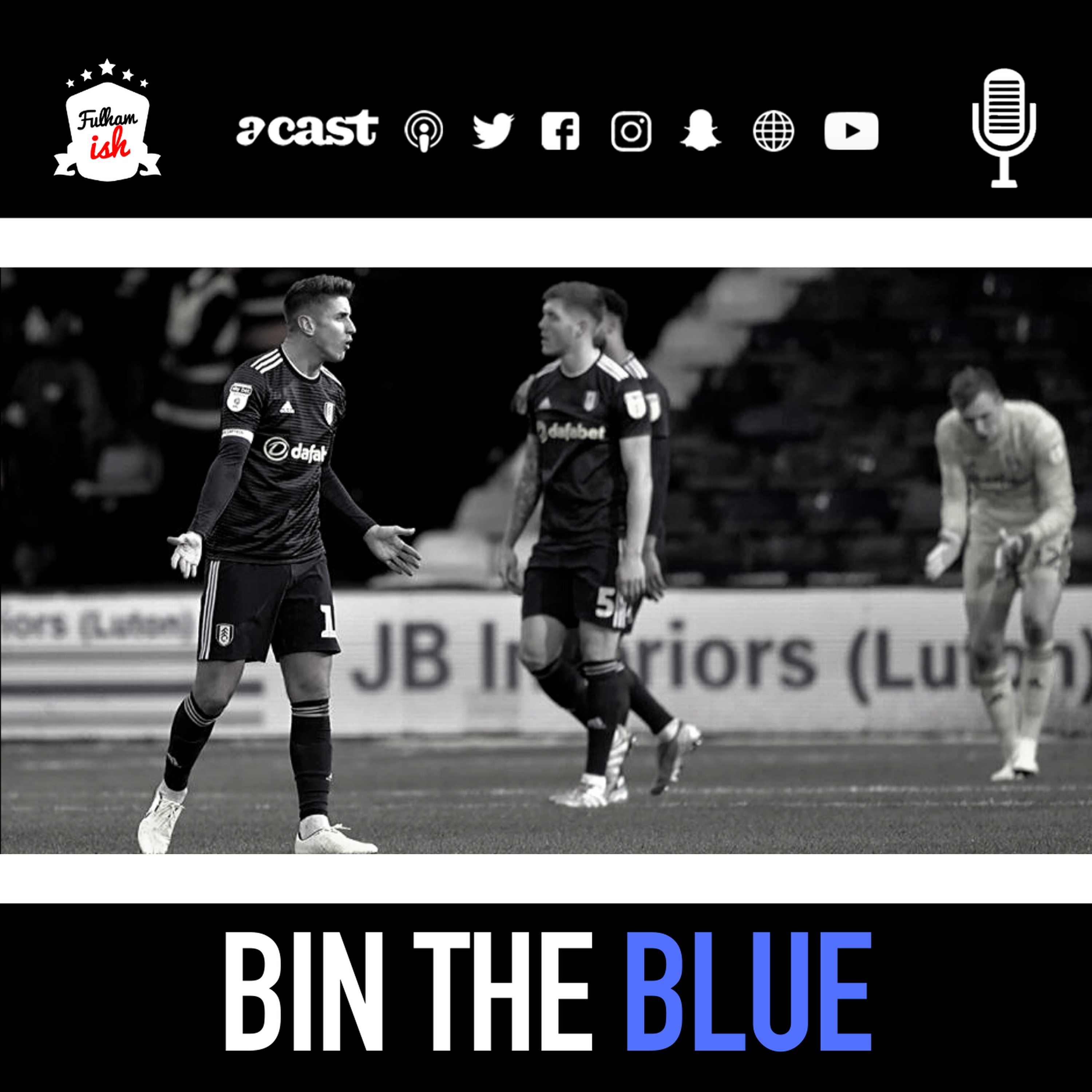 Bin The Blue