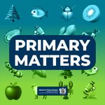 Primary Matters Cover Art