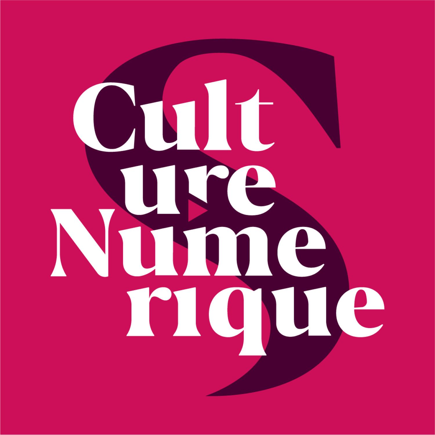 Culture Numérique